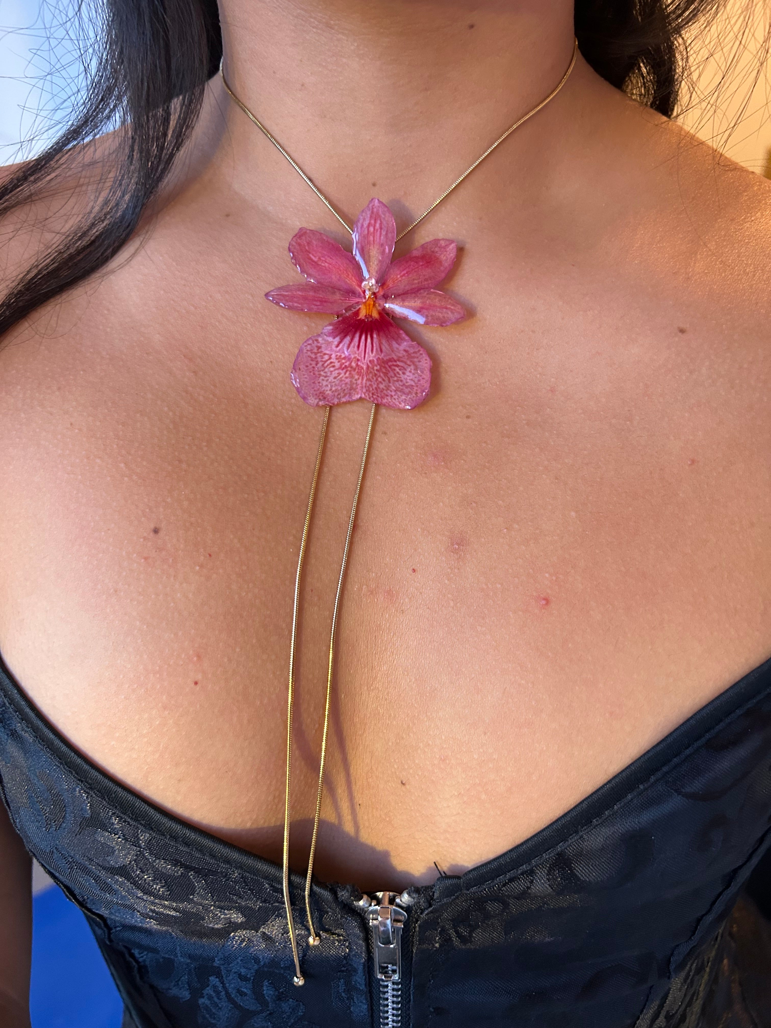 Orchid Nelly isler Orange