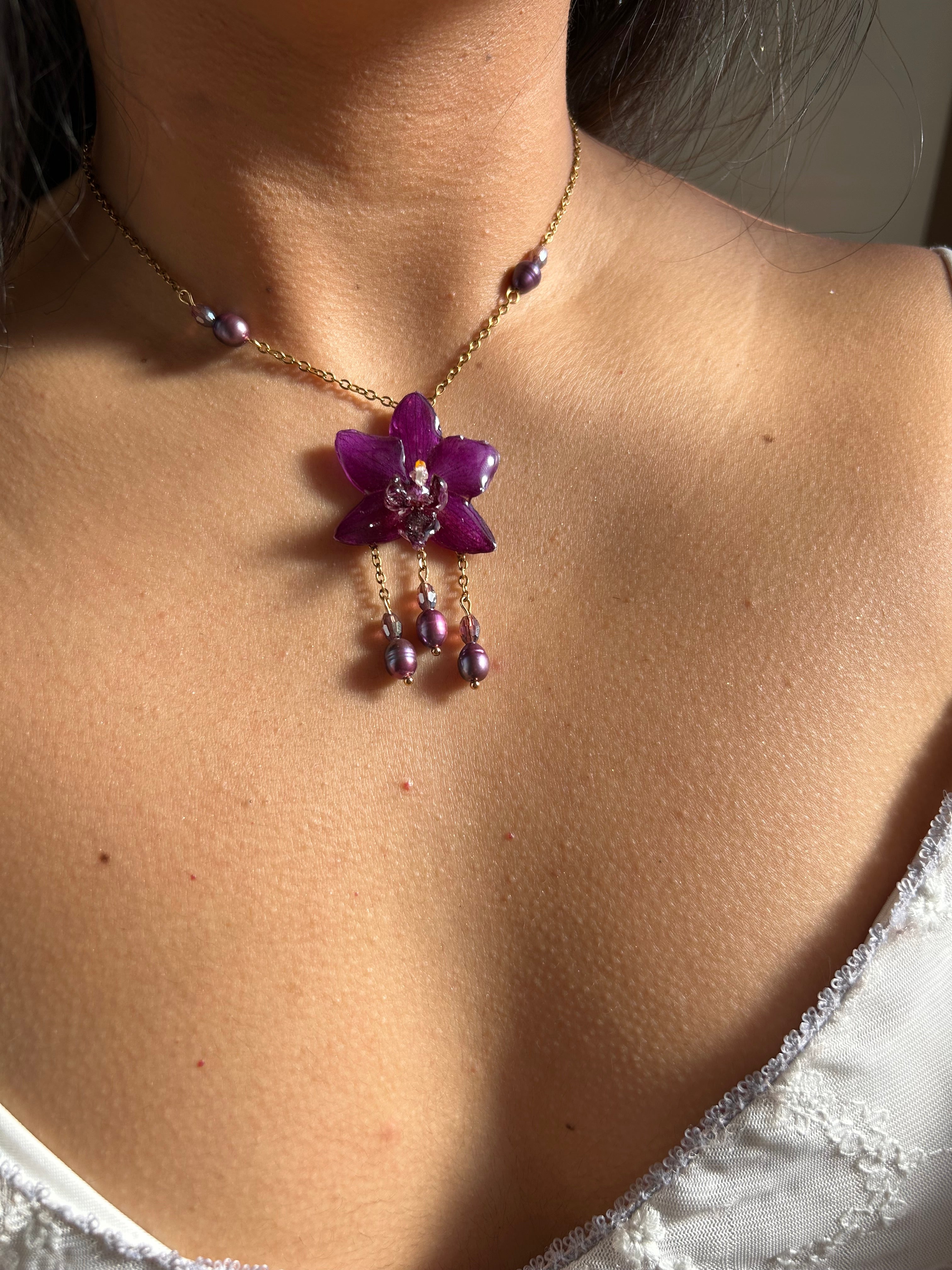 Encanto morado orchid