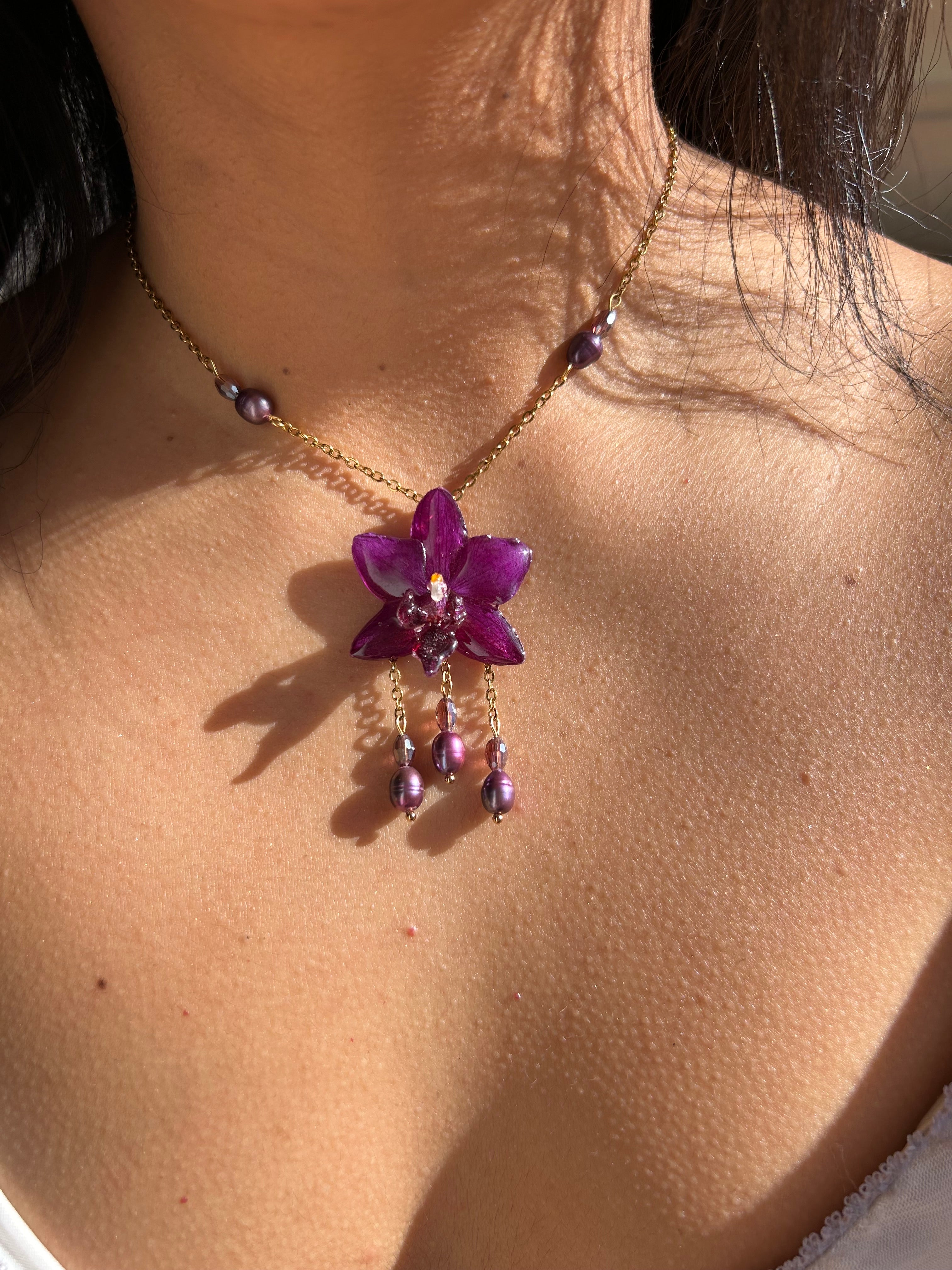 Encanto morado orchid