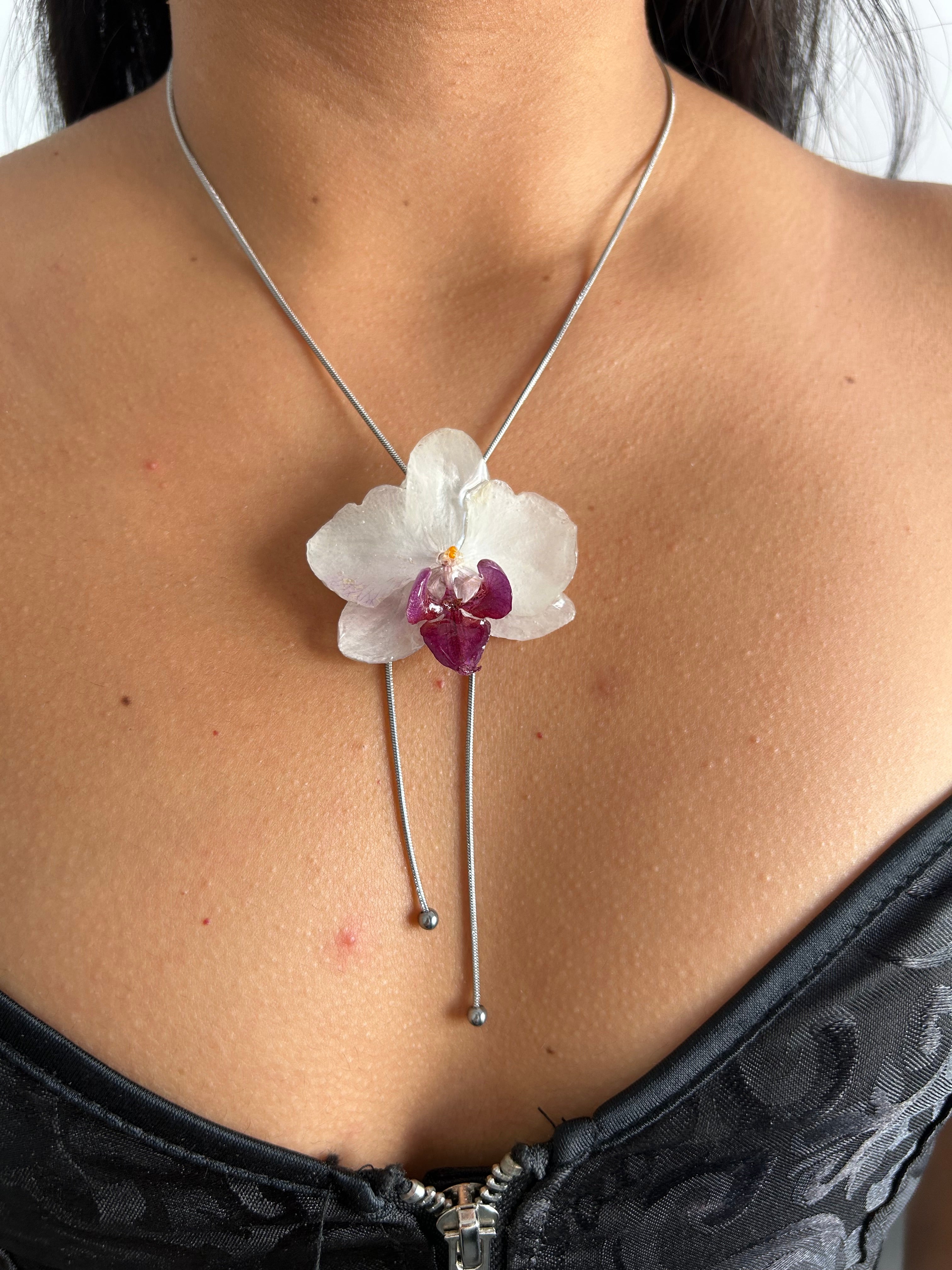 Orchid mini white