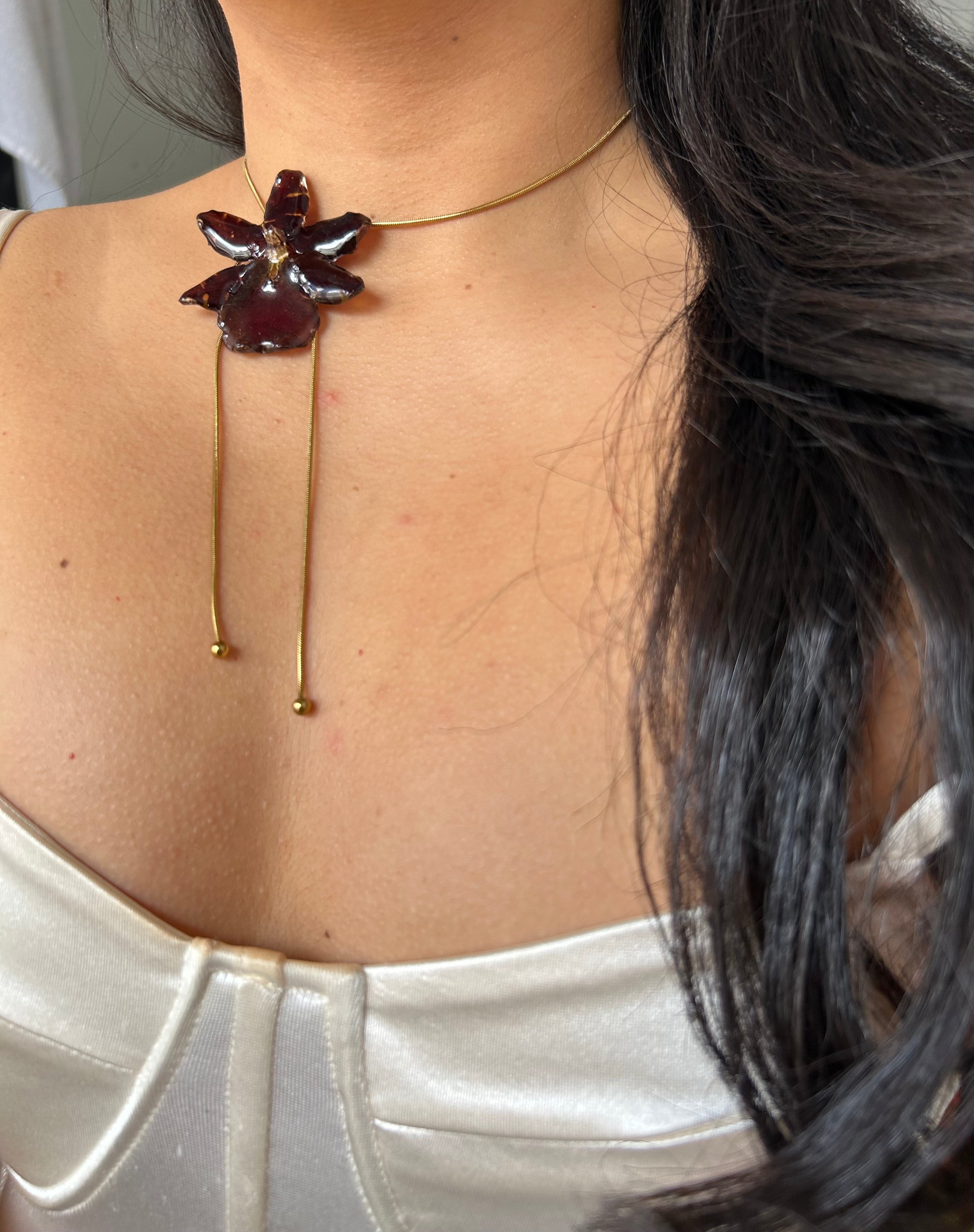 Exotic eclipse orchid