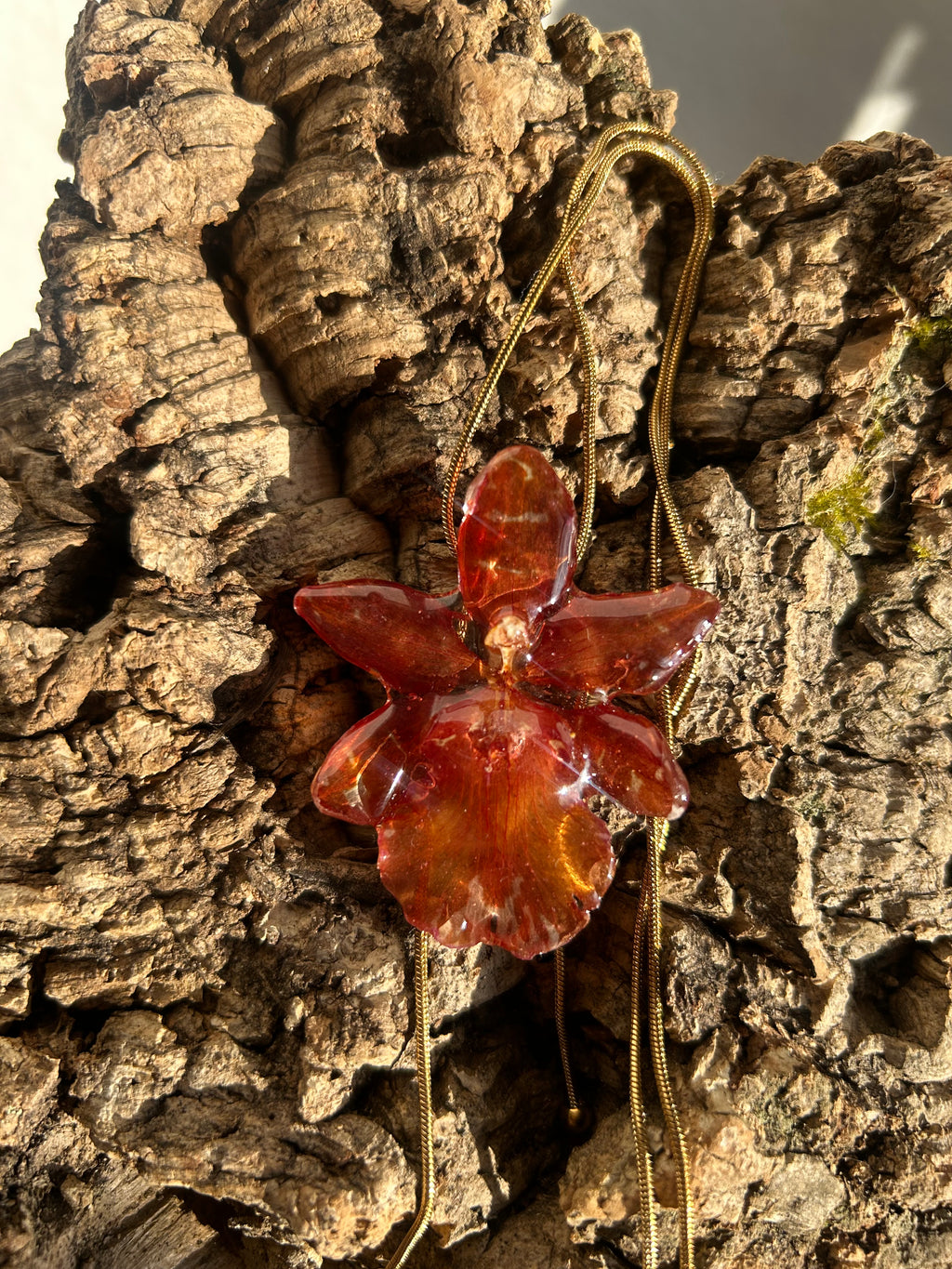 exotic orange orchid
