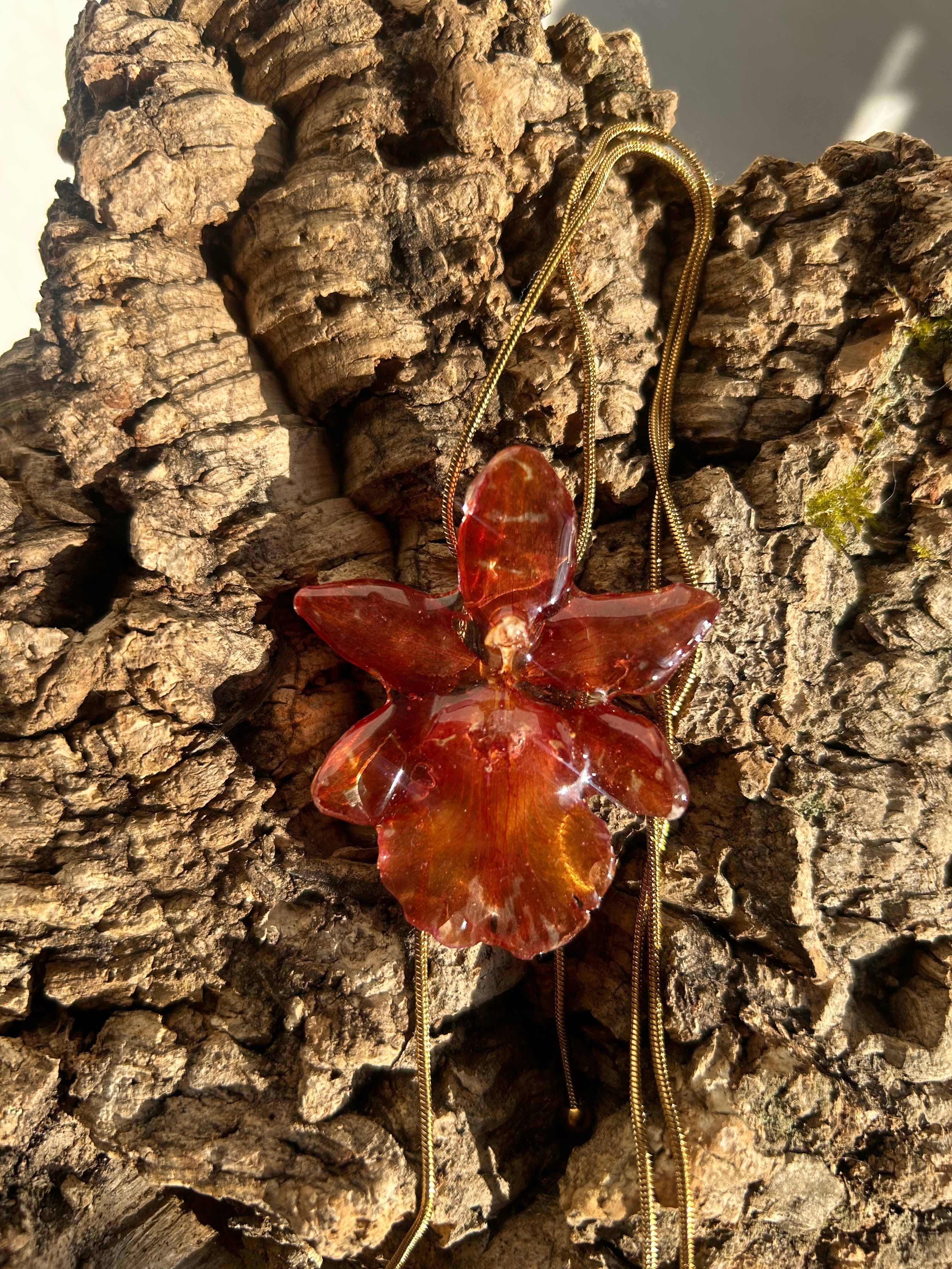 exotic orange orchid