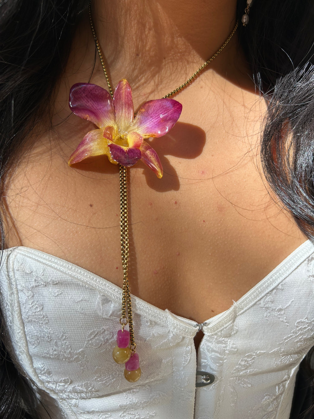 Orchid dendrobium bello atardecer