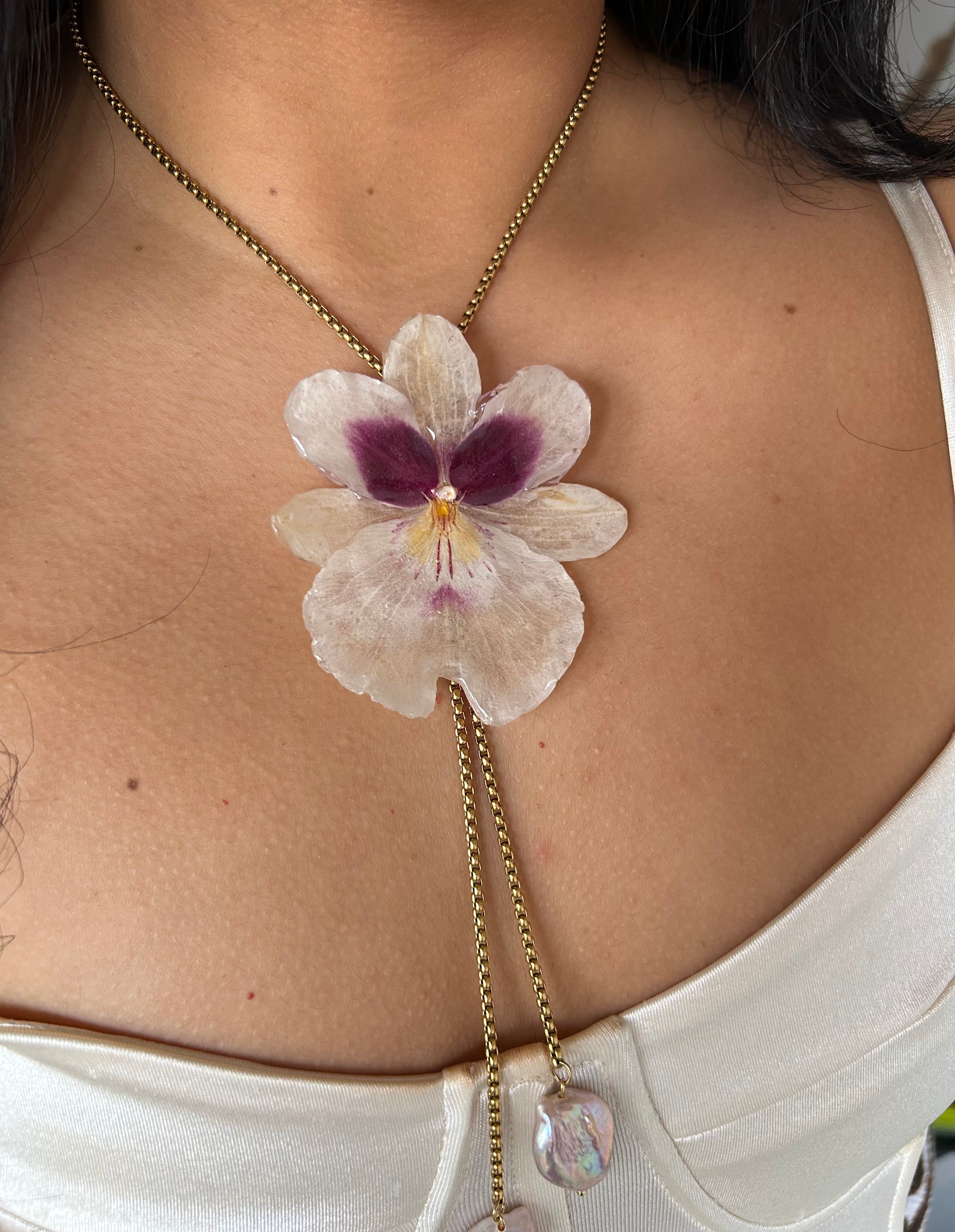 Miltonia orchid pearls