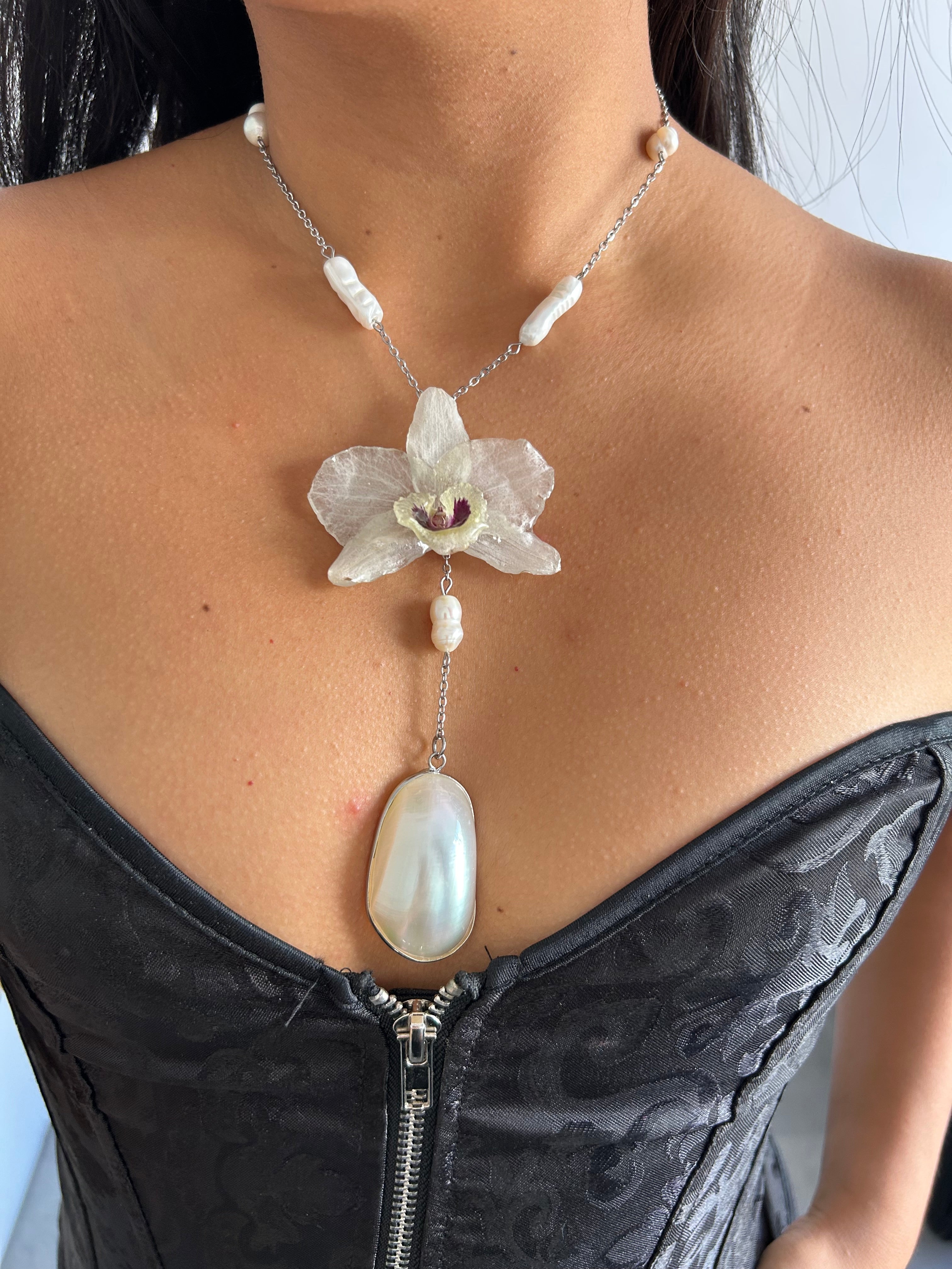 Orchid dendrobium white with shell