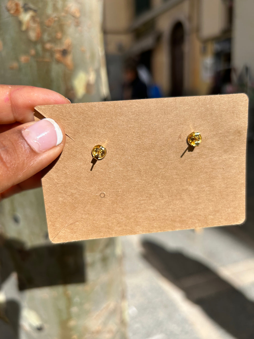 Orchid mini phalaenopsis