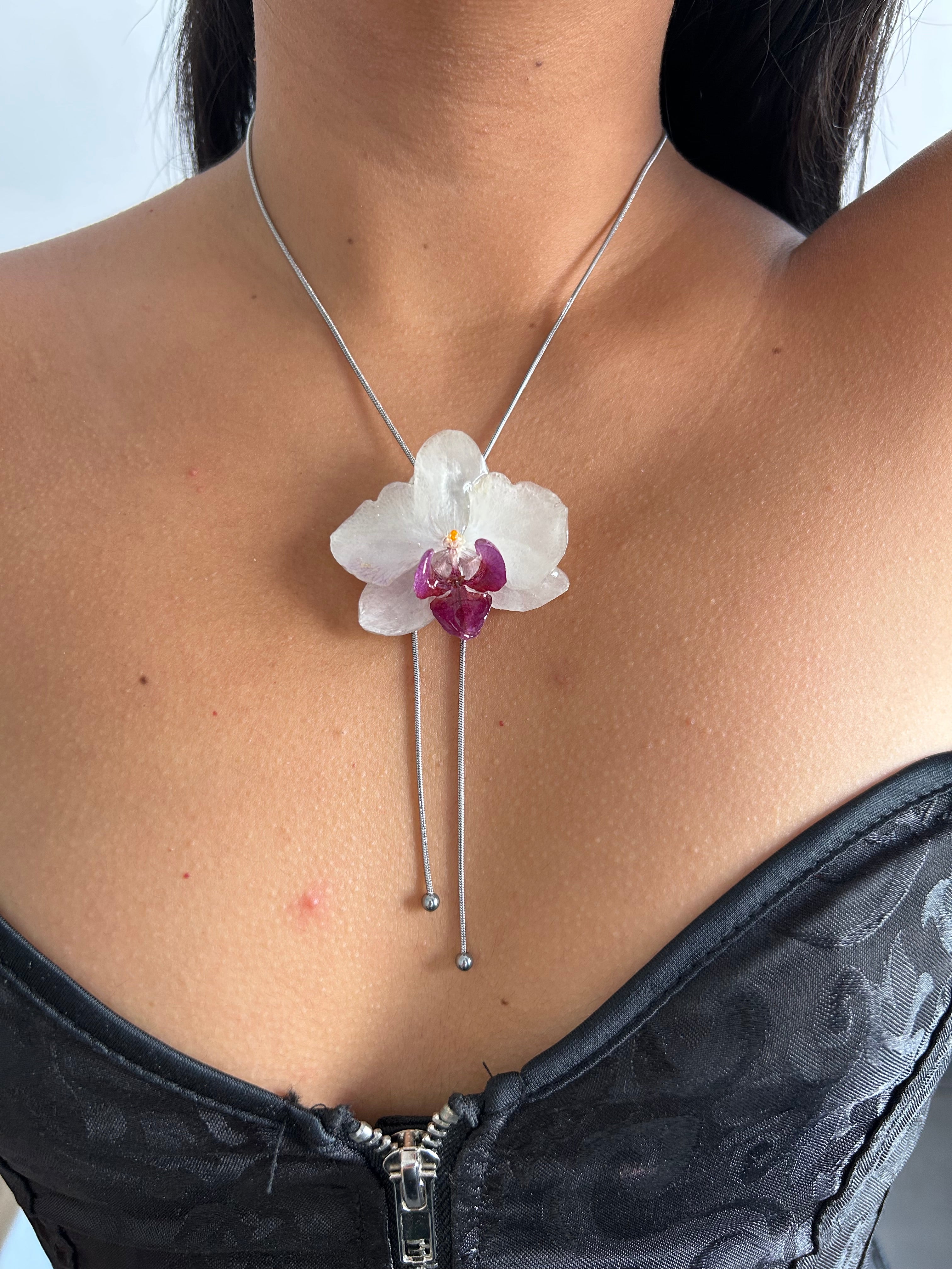 Orchid mini white