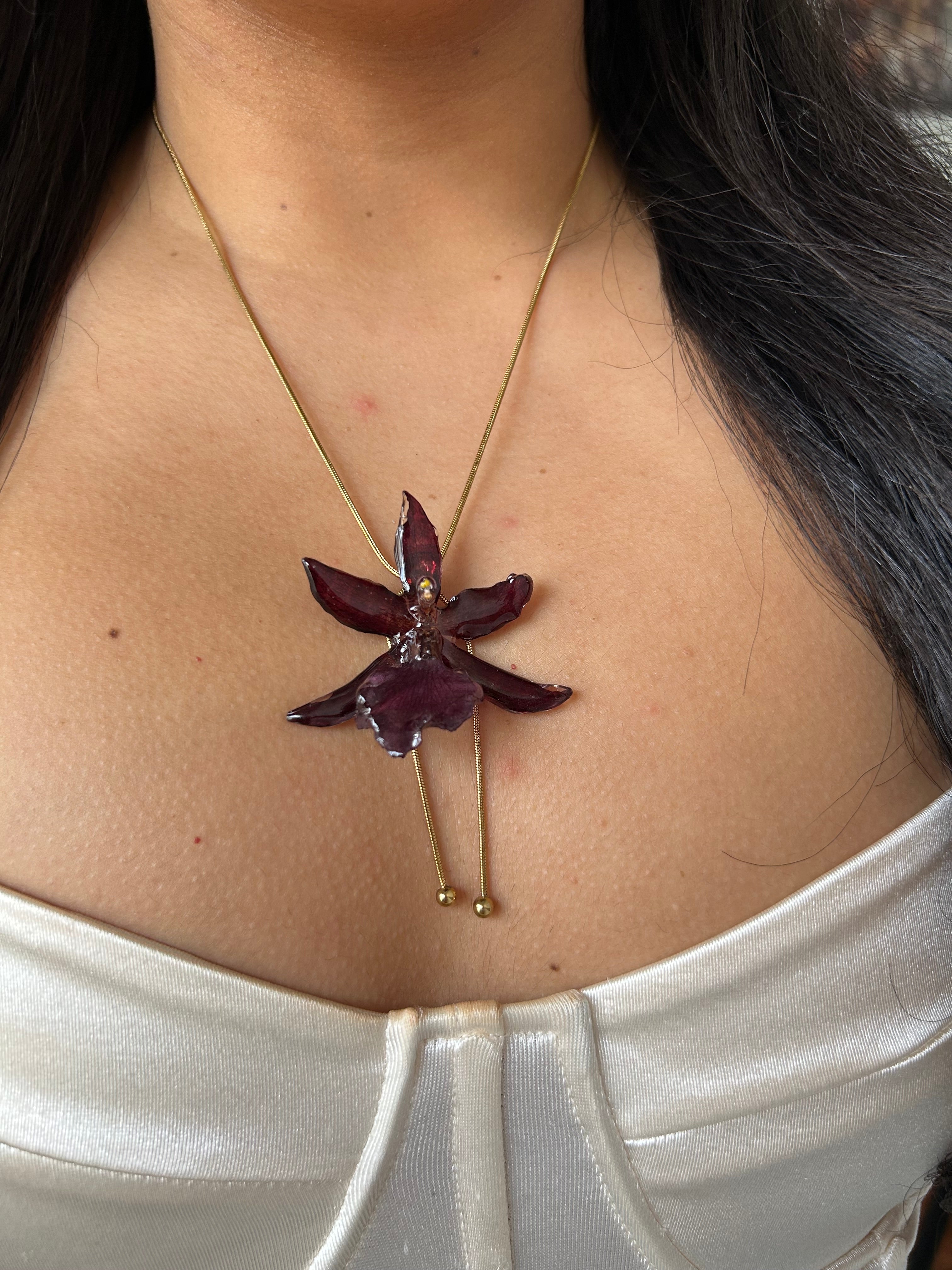 exotic burgundy orchid