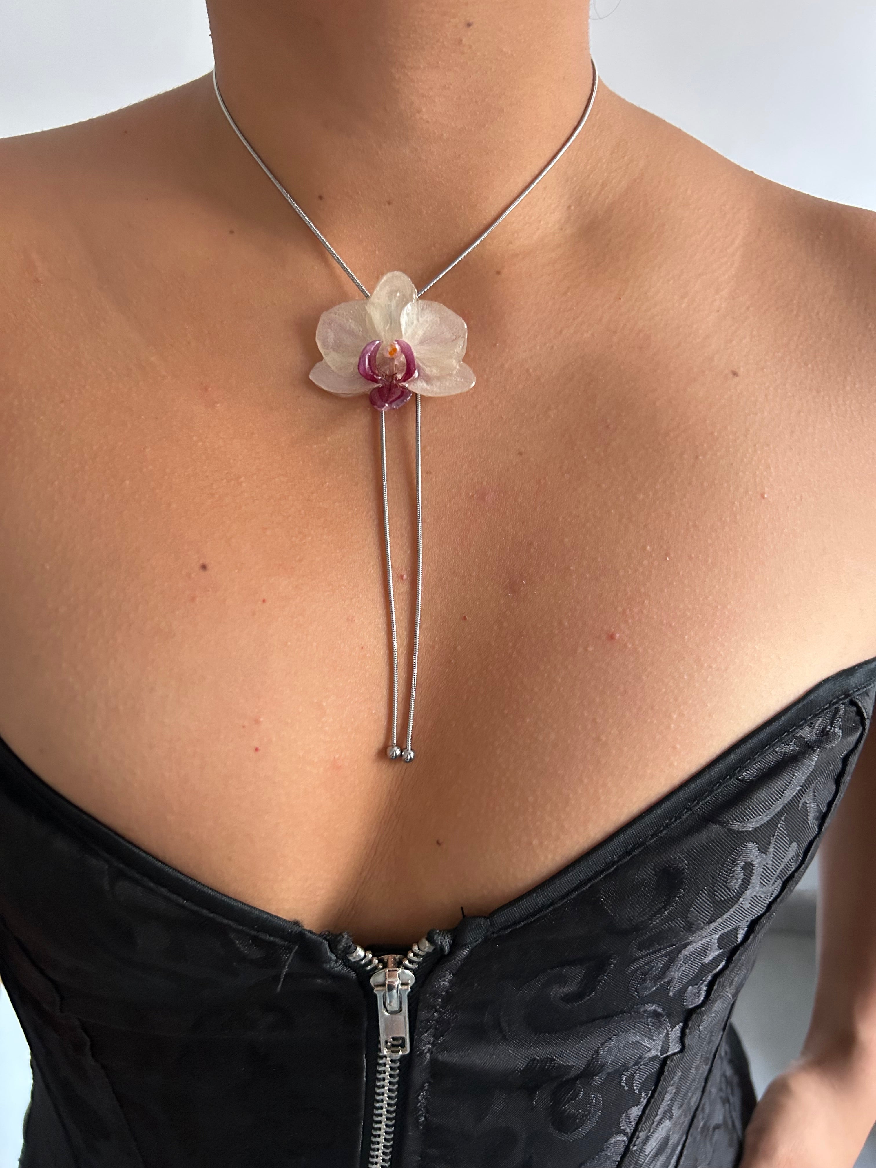 Orchid mini white