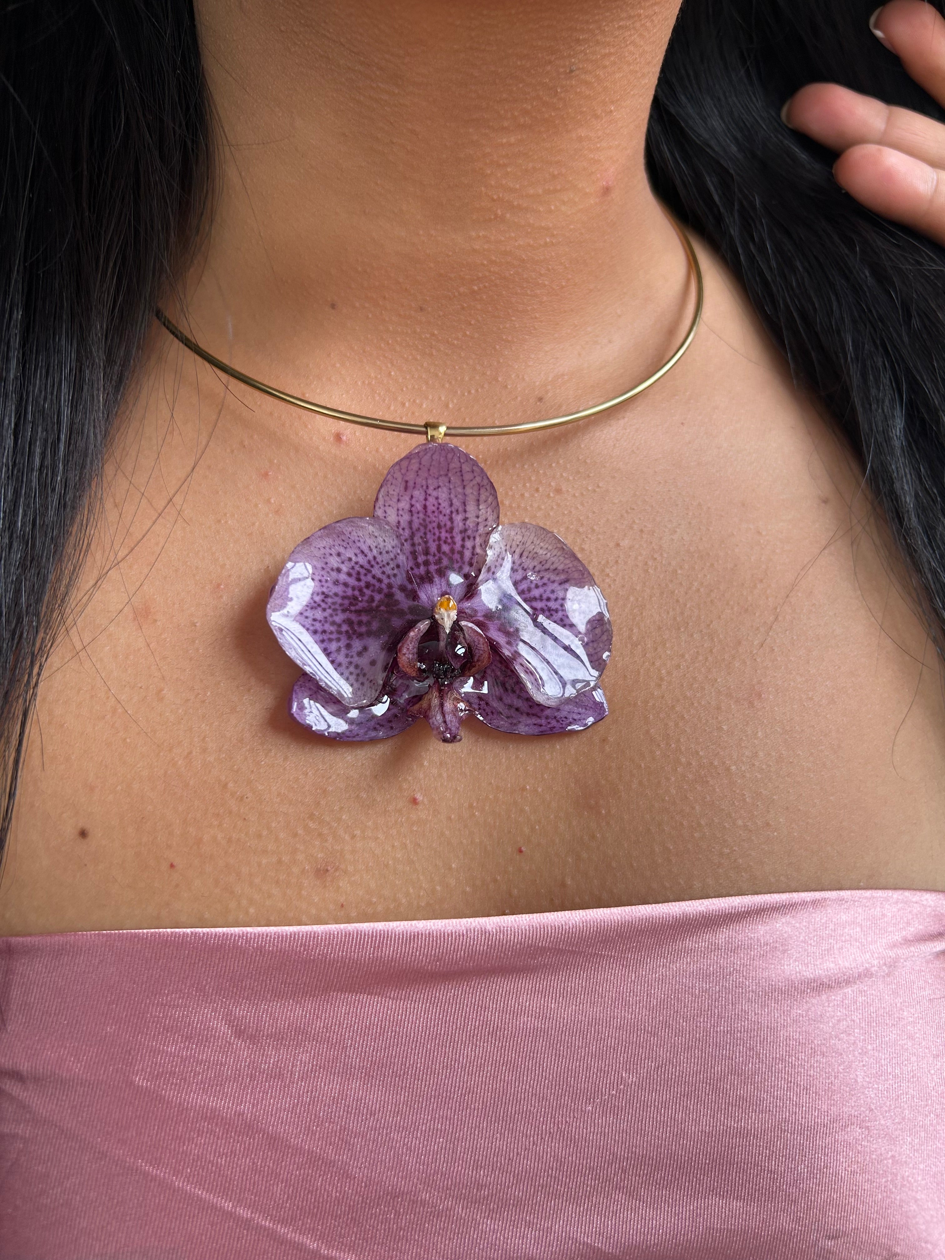 Grand Orchid purple