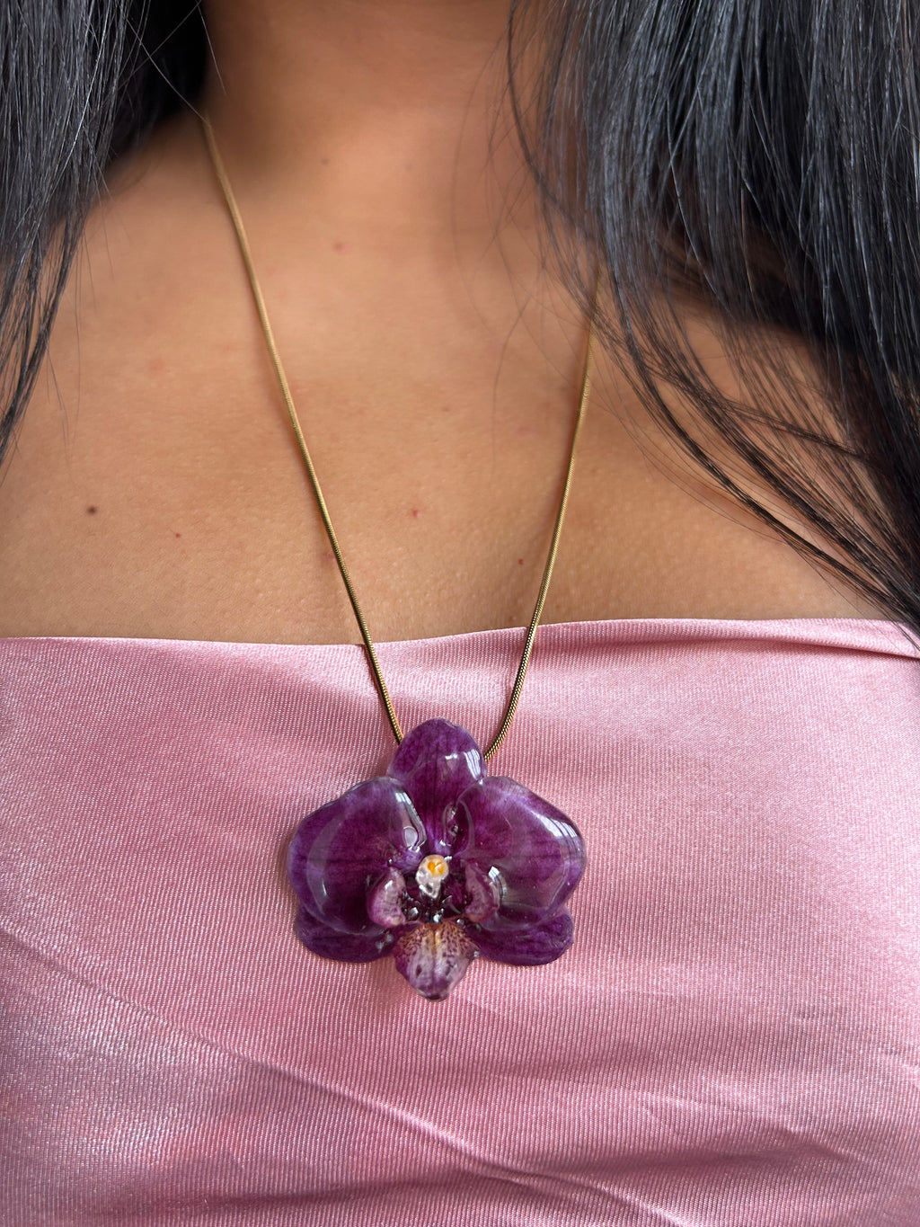 Orchid mini phalaenopsis purple