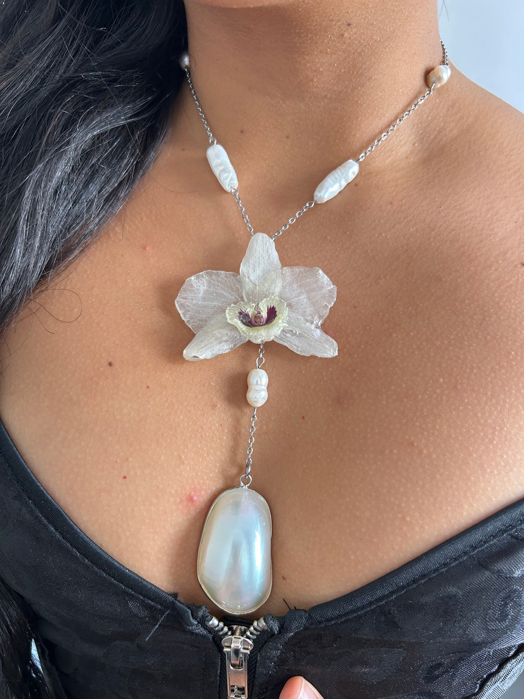 Orchid dendrobium white with shell