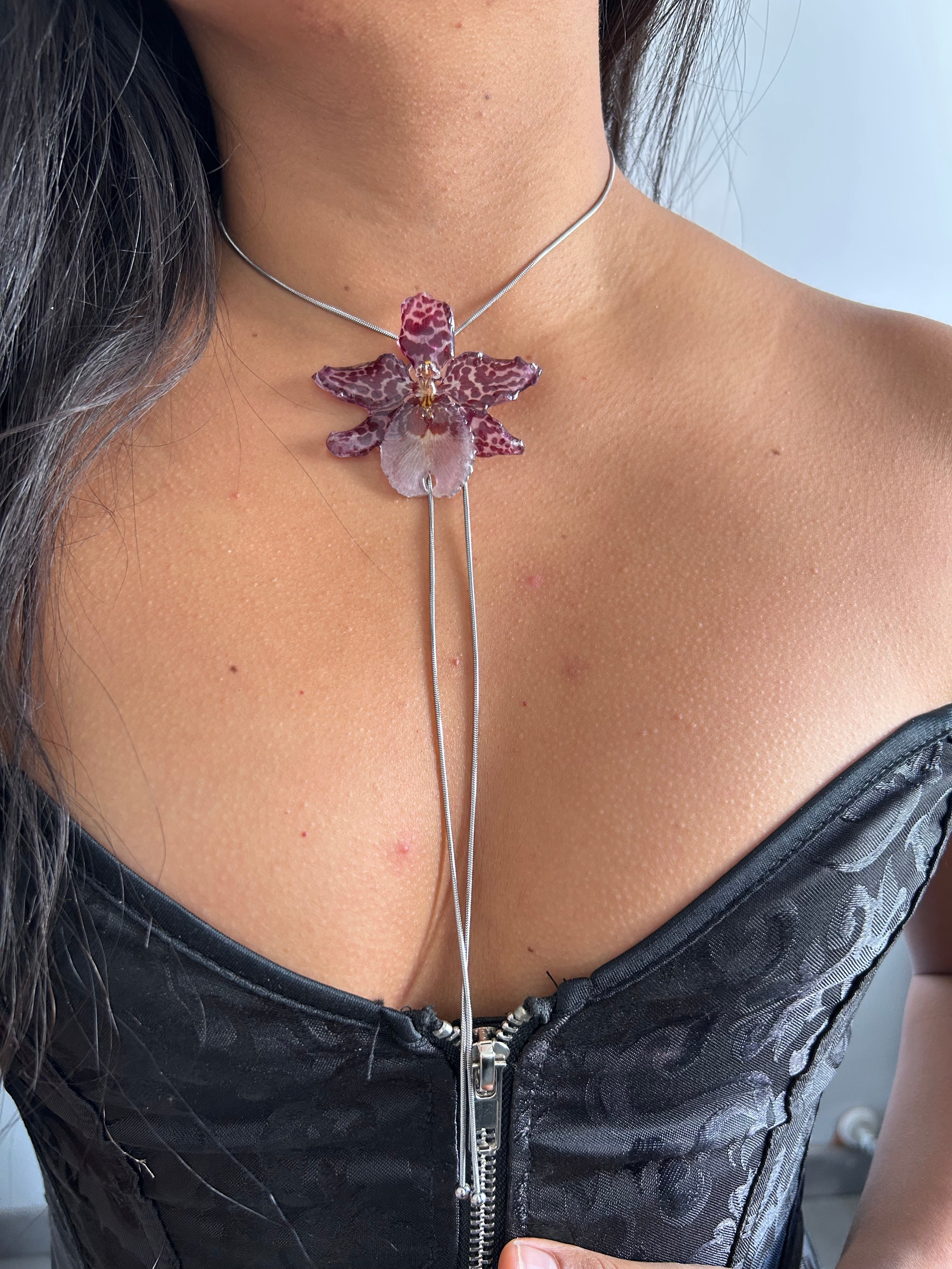 Exotic Orchid