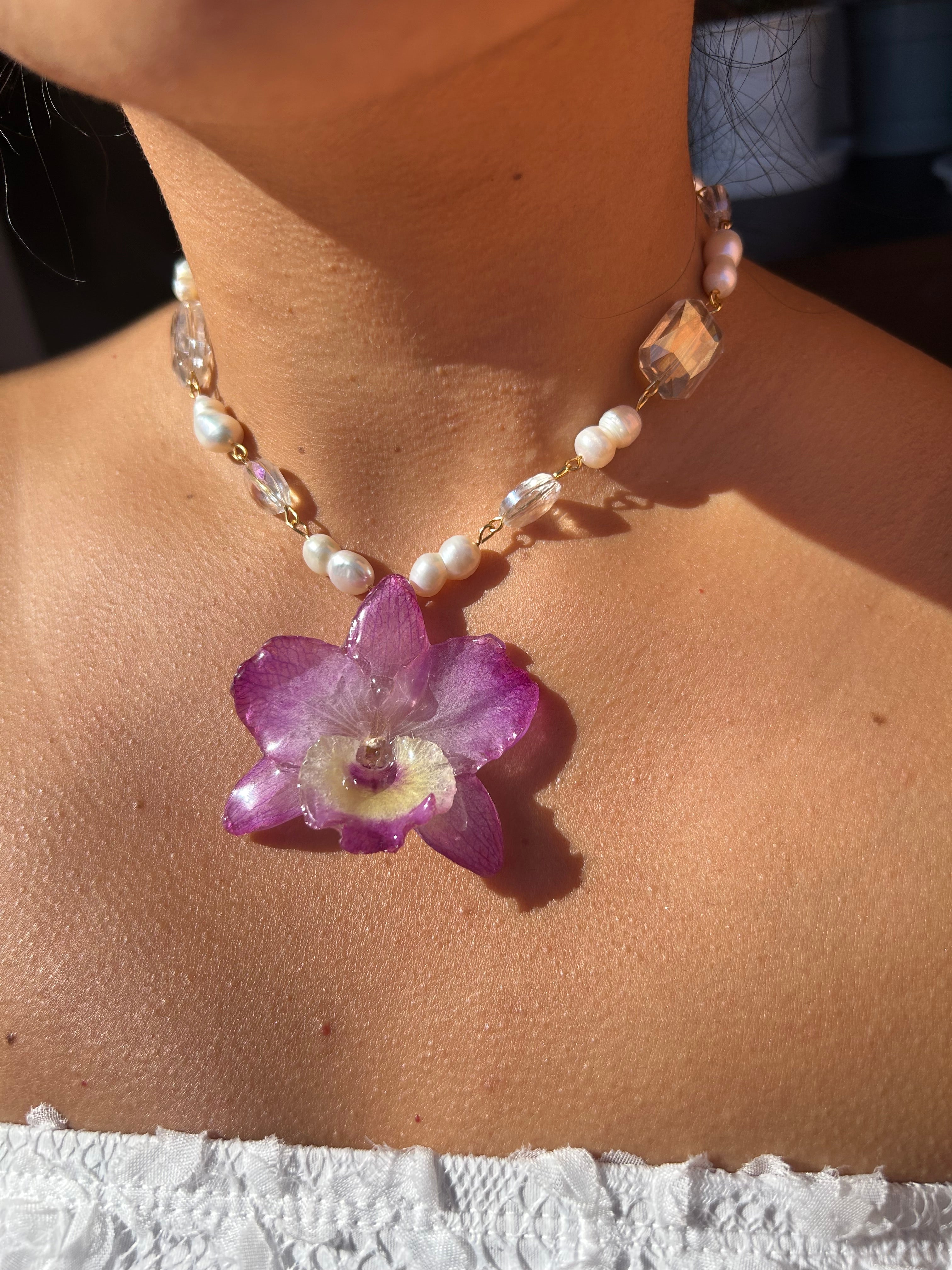 Orchid dendrobium nobile with pearls