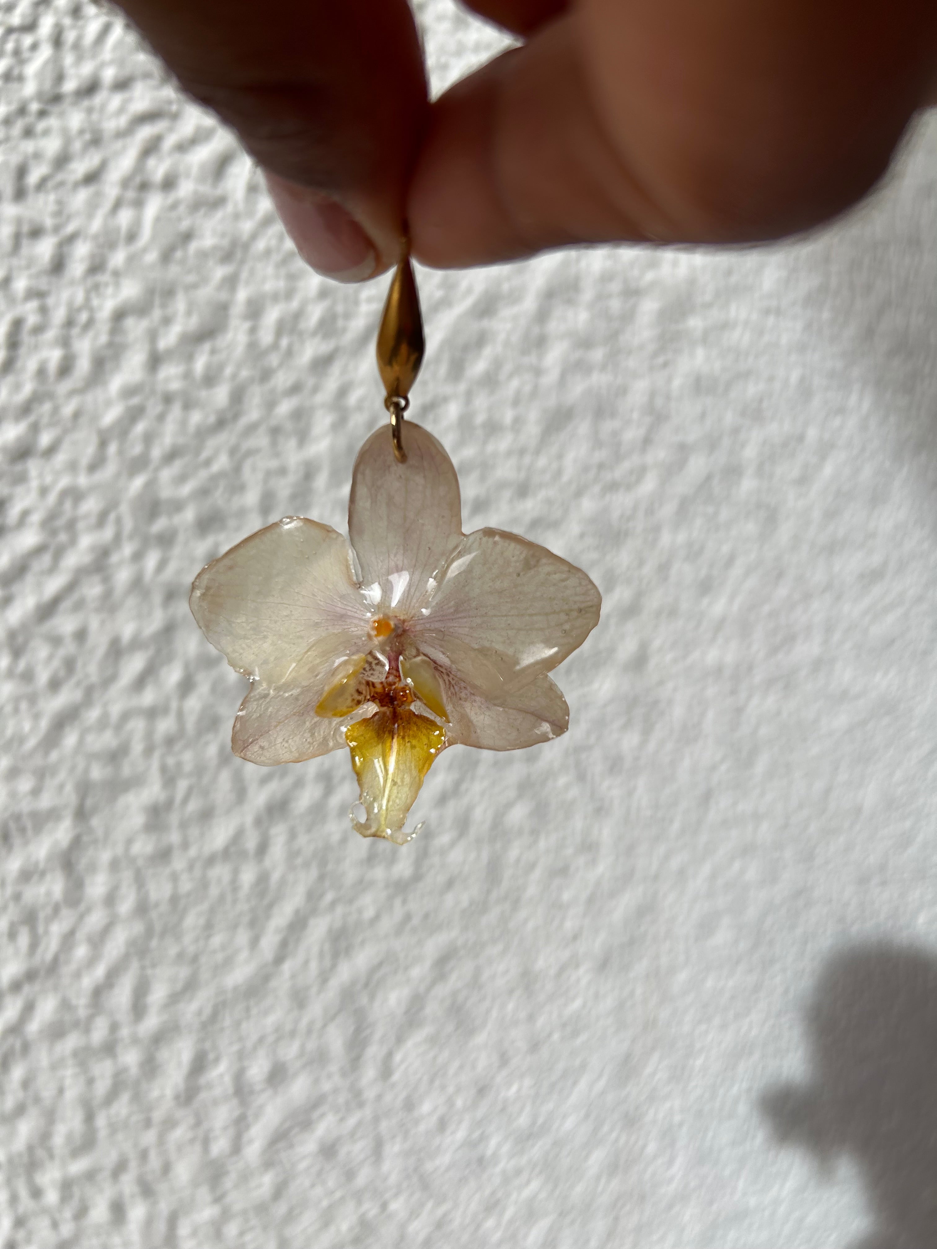 Orchid mini