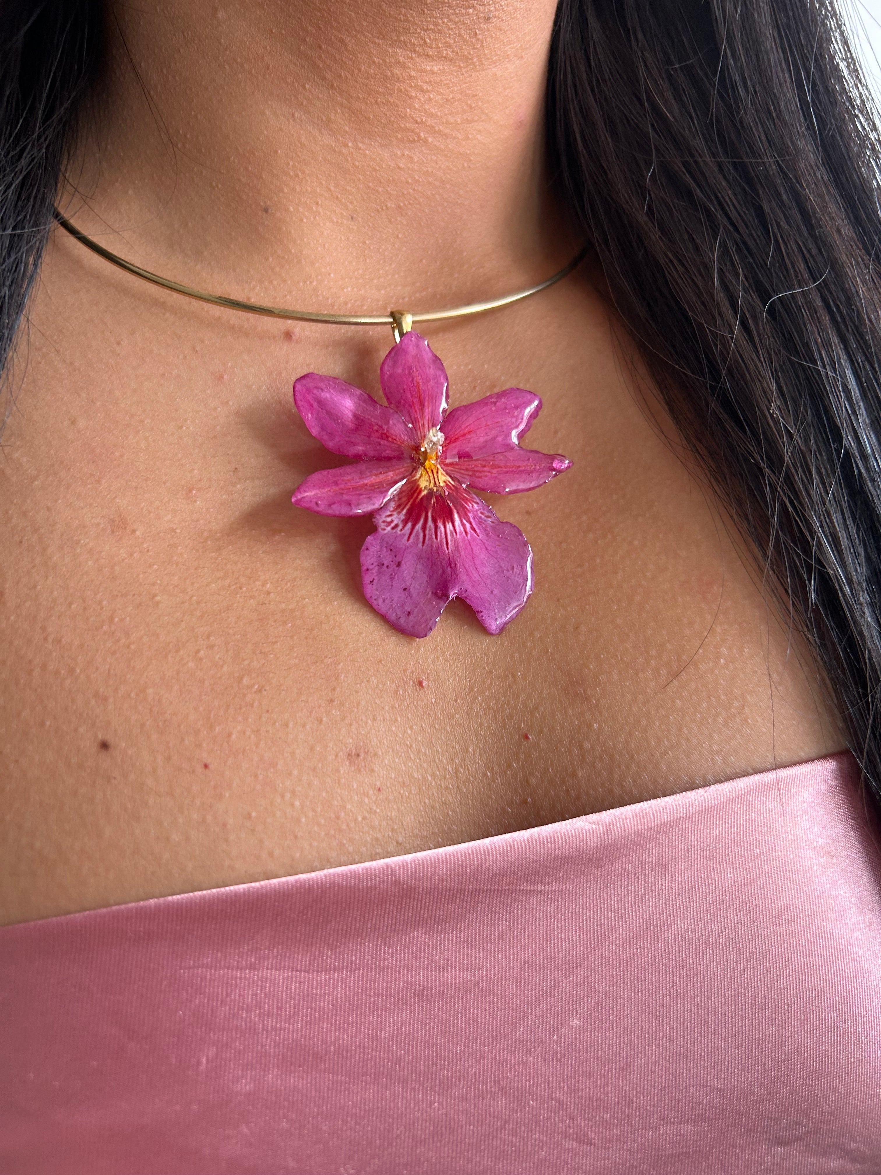 Orquídea Nelly isler rosa