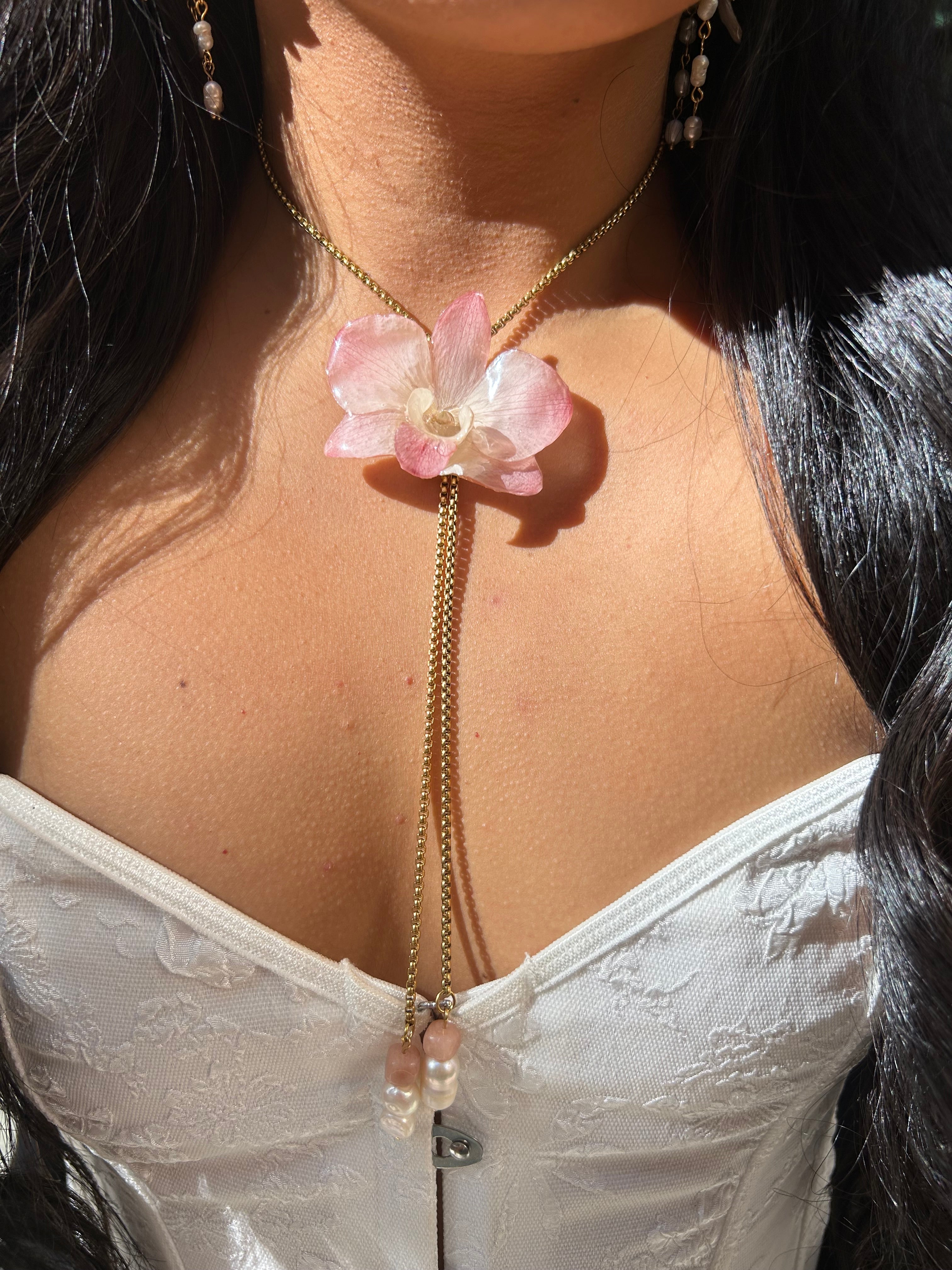 Orchid dendrobium real