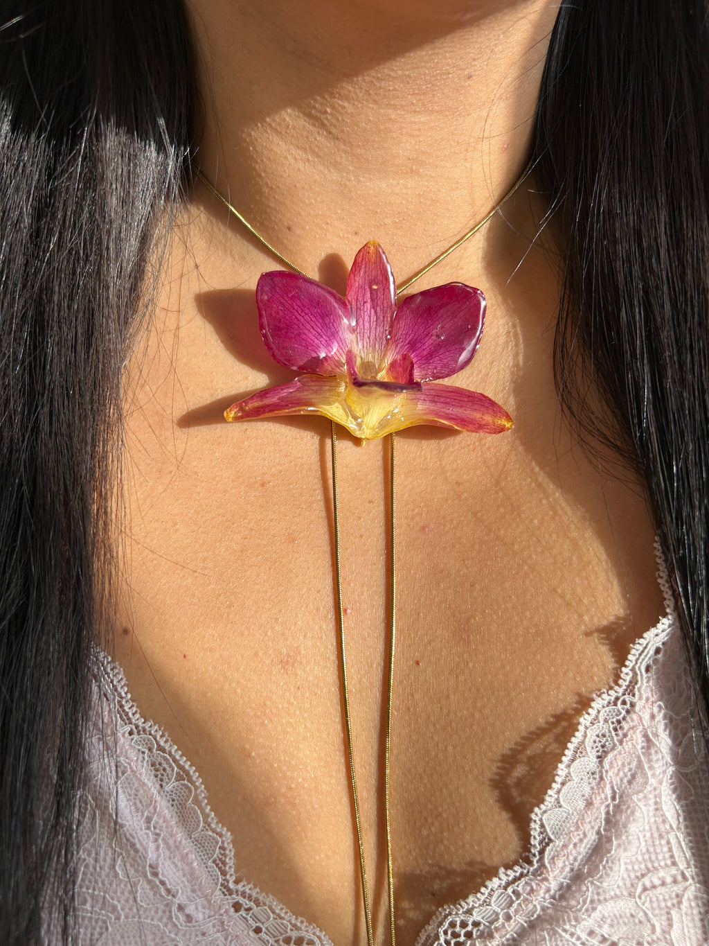 Orchid bello atardecer 2.0