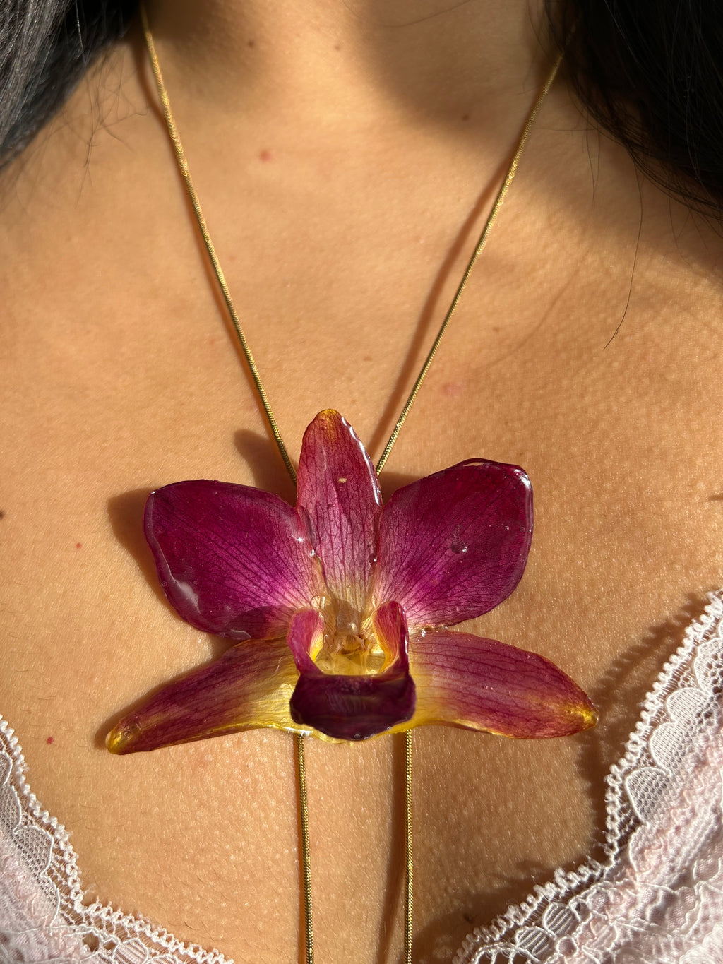 Orchid bello atardecer 2.0