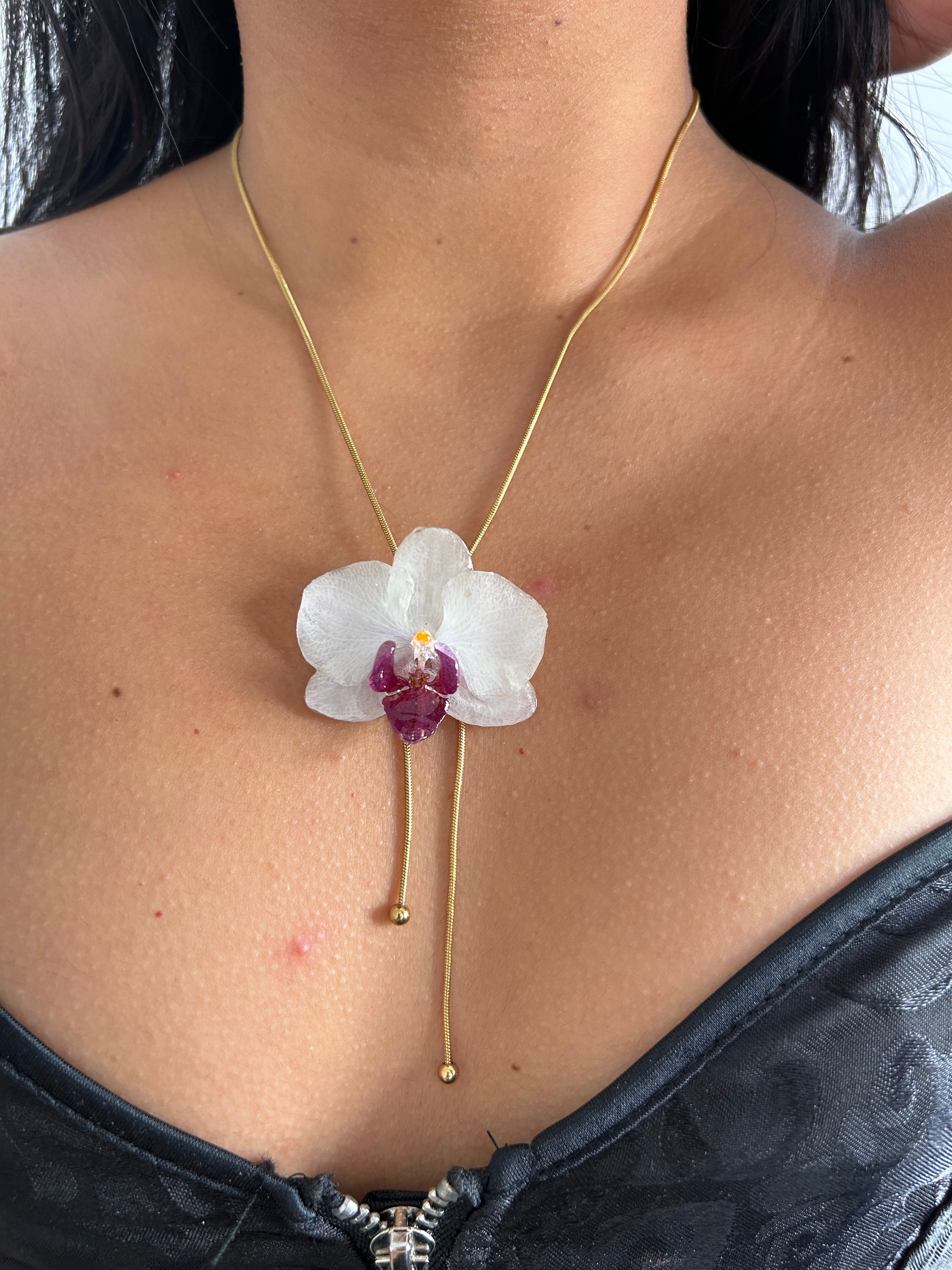 Orchid mini white