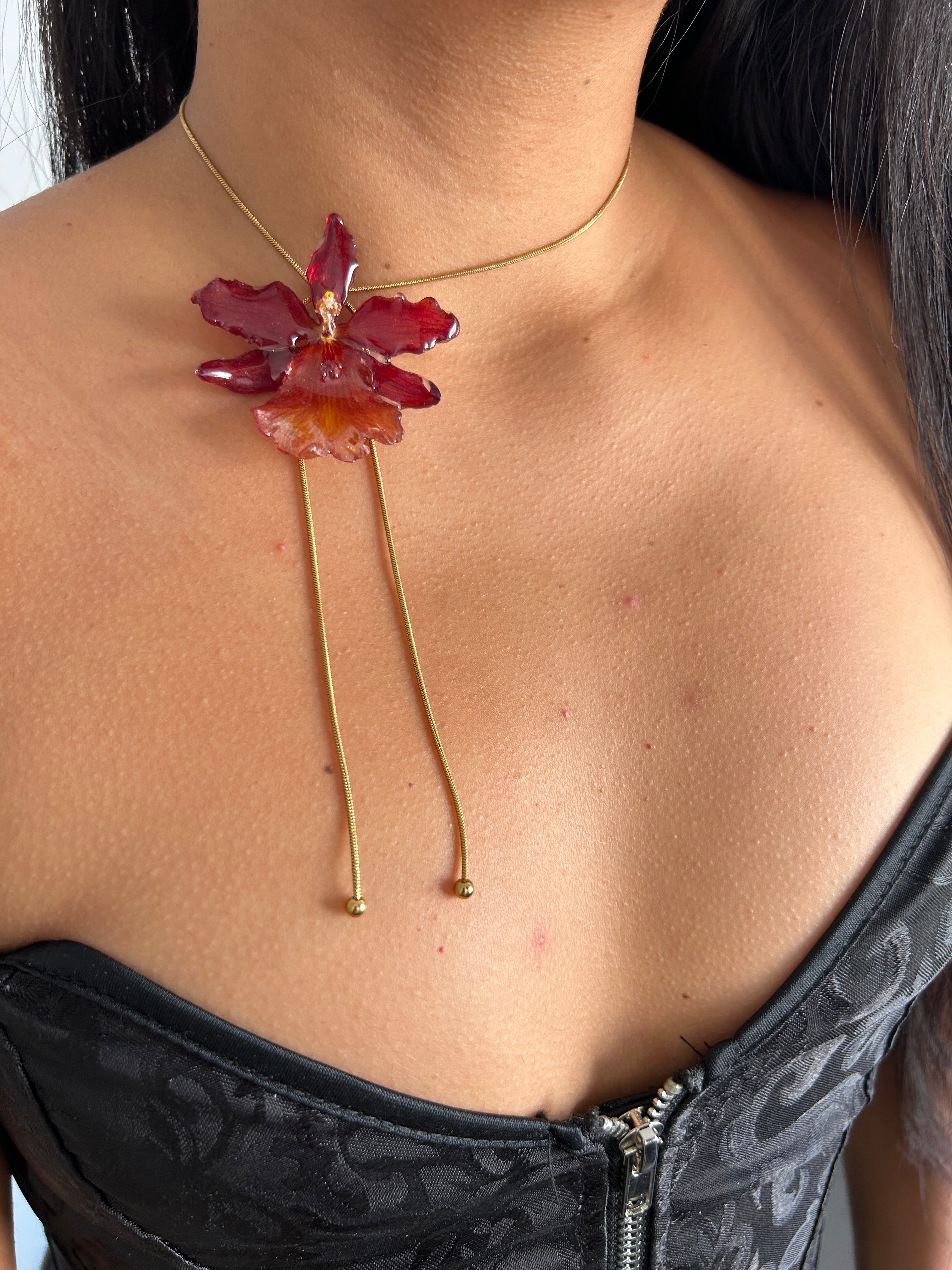 Exotic Orchid