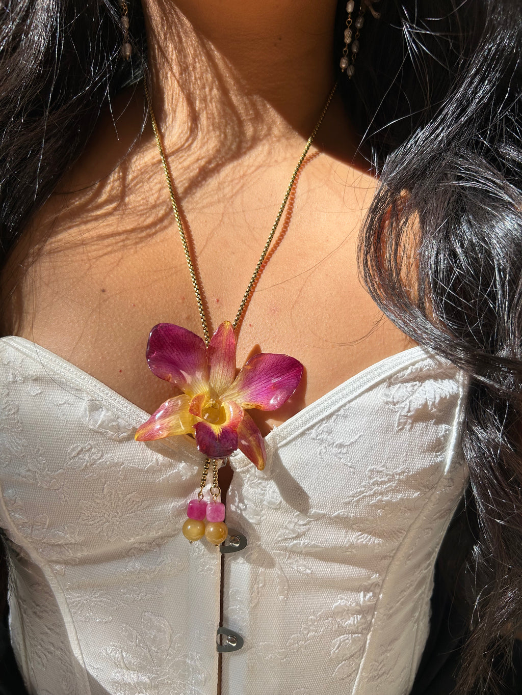 Orchid dendrobium bello atardecer