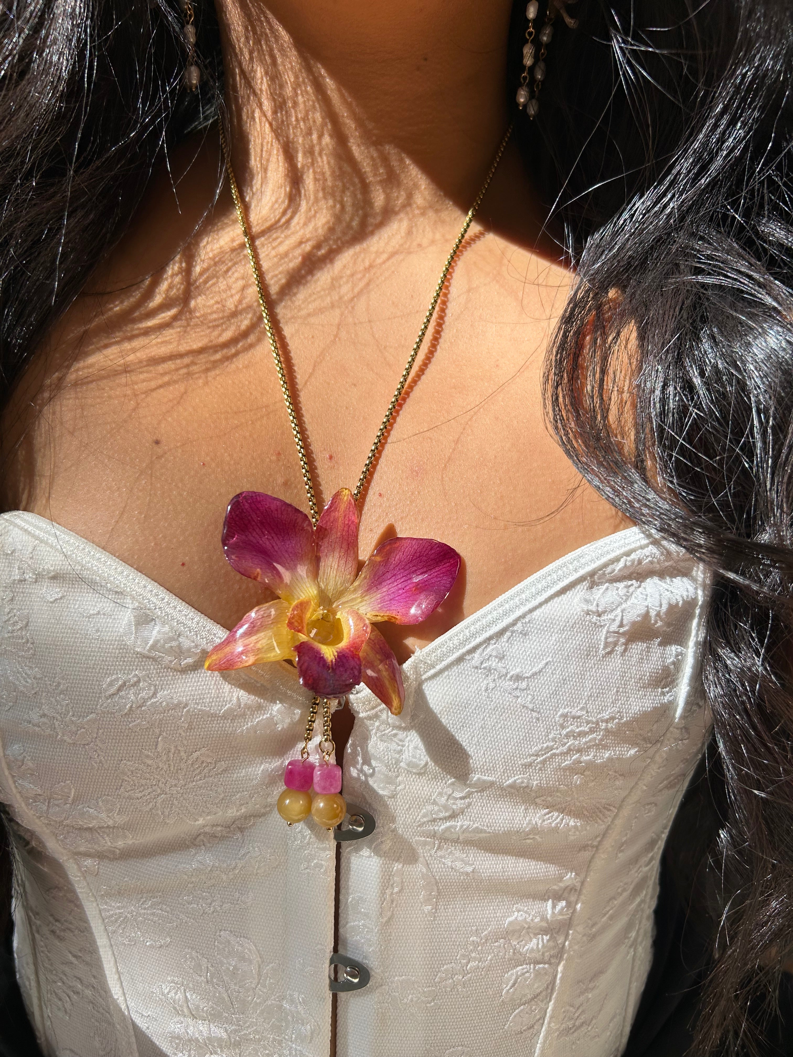 Orchid dendrobium bello atardecer