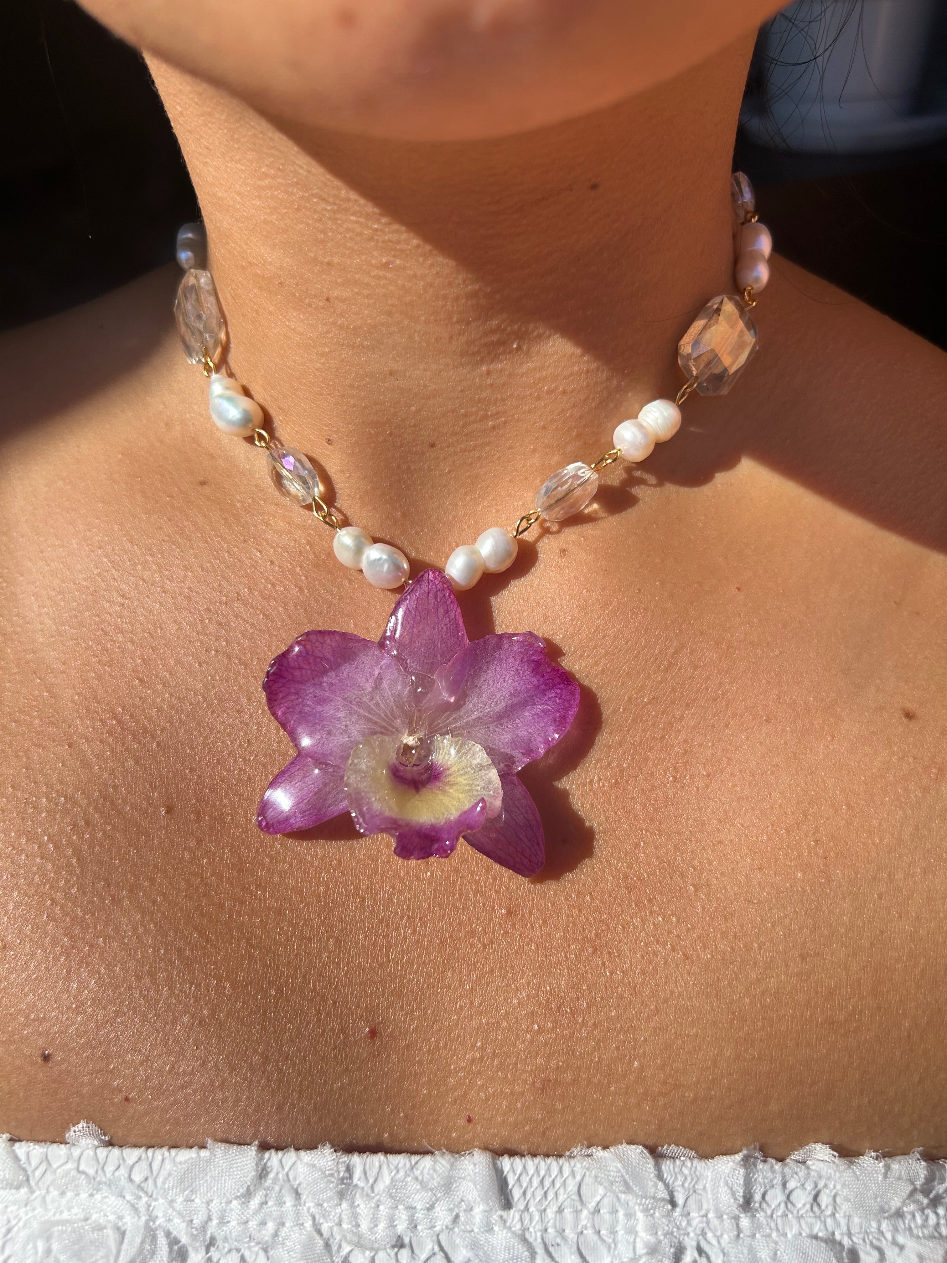 Orchid dendrobium nobile with pearls