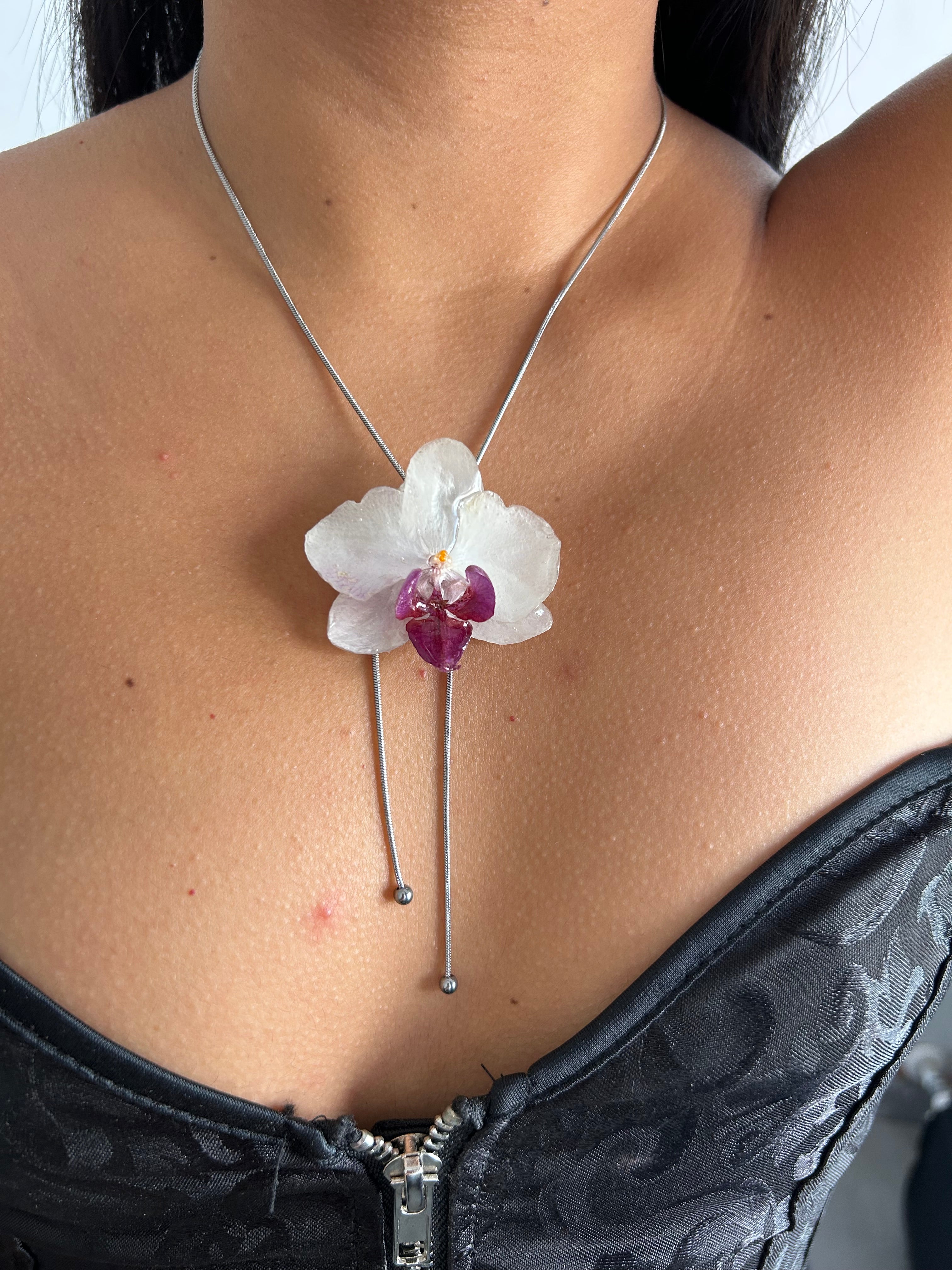 Orchid mini white