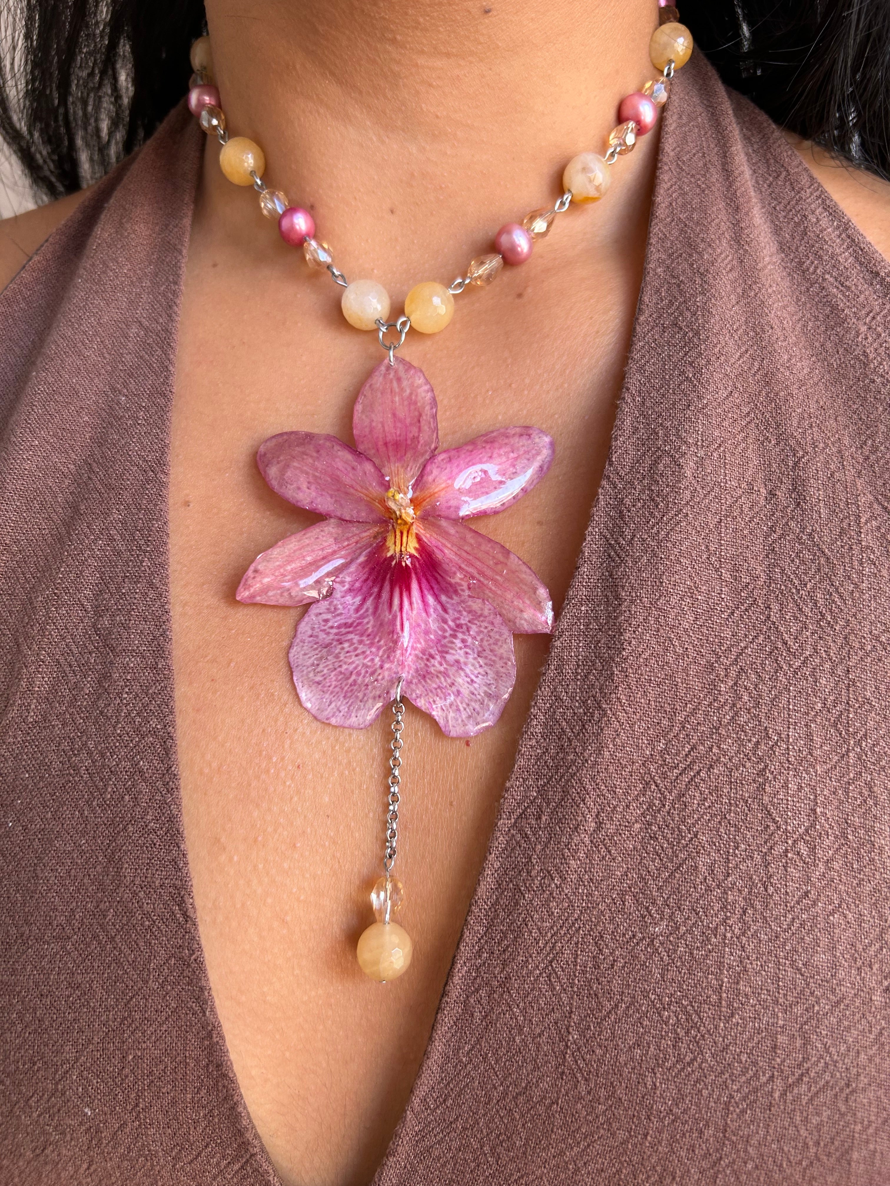 Orchid Nelly Pink