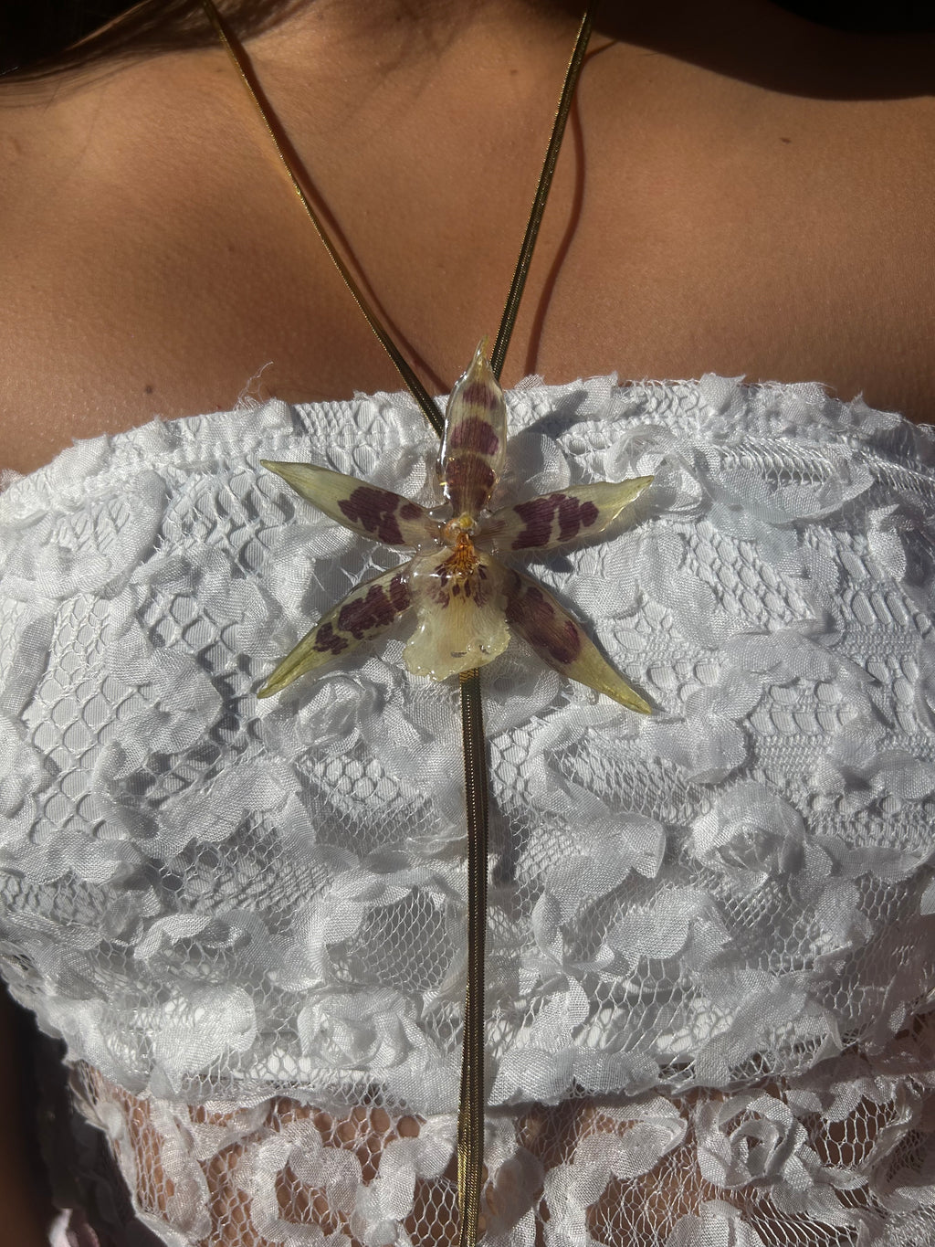 Orchid star