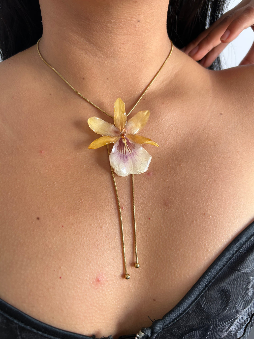 Exotic orchid yellow