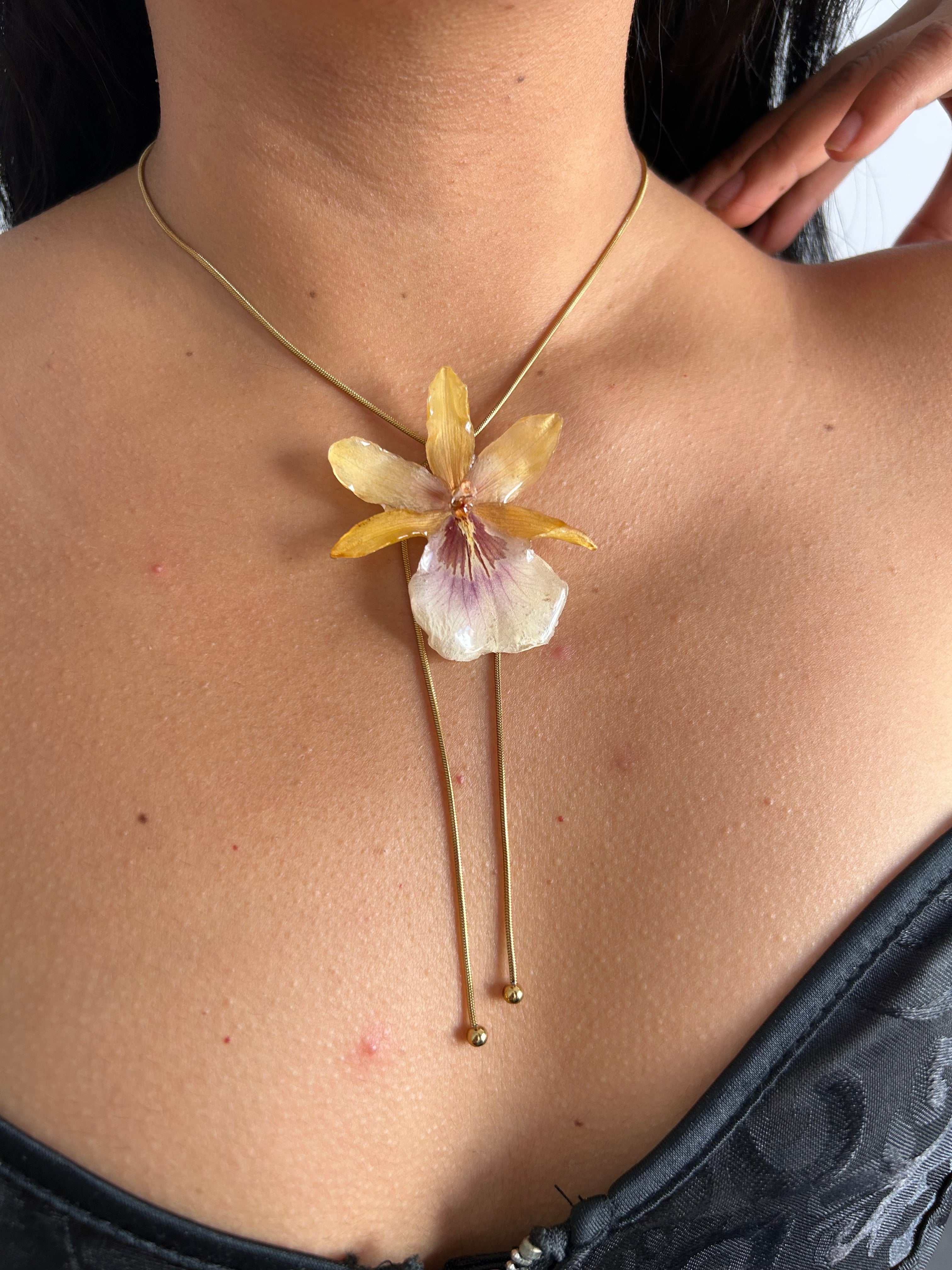 Exotic orchid yellow