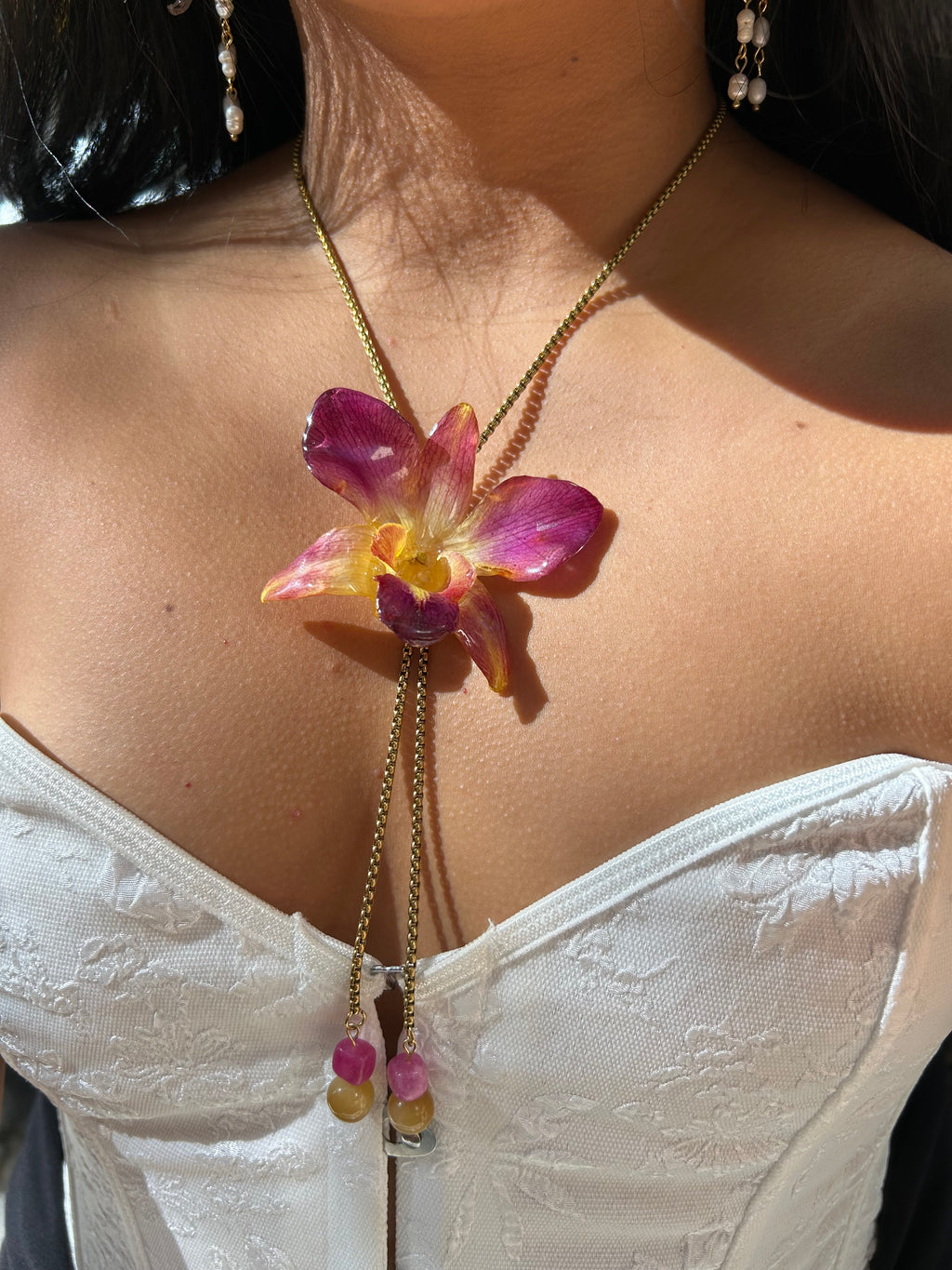 Orchid dendrobium bello atardecer