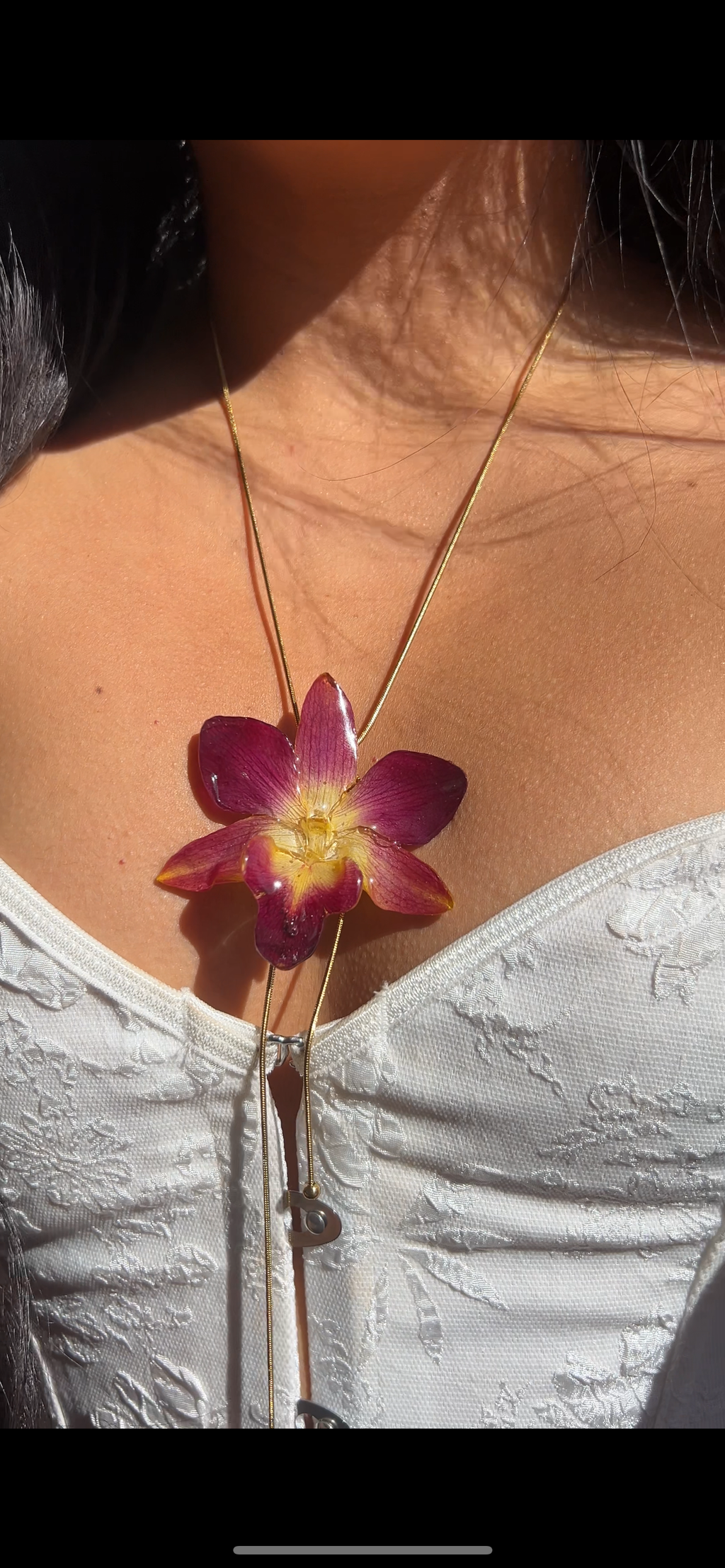 Orchid bello atardecer