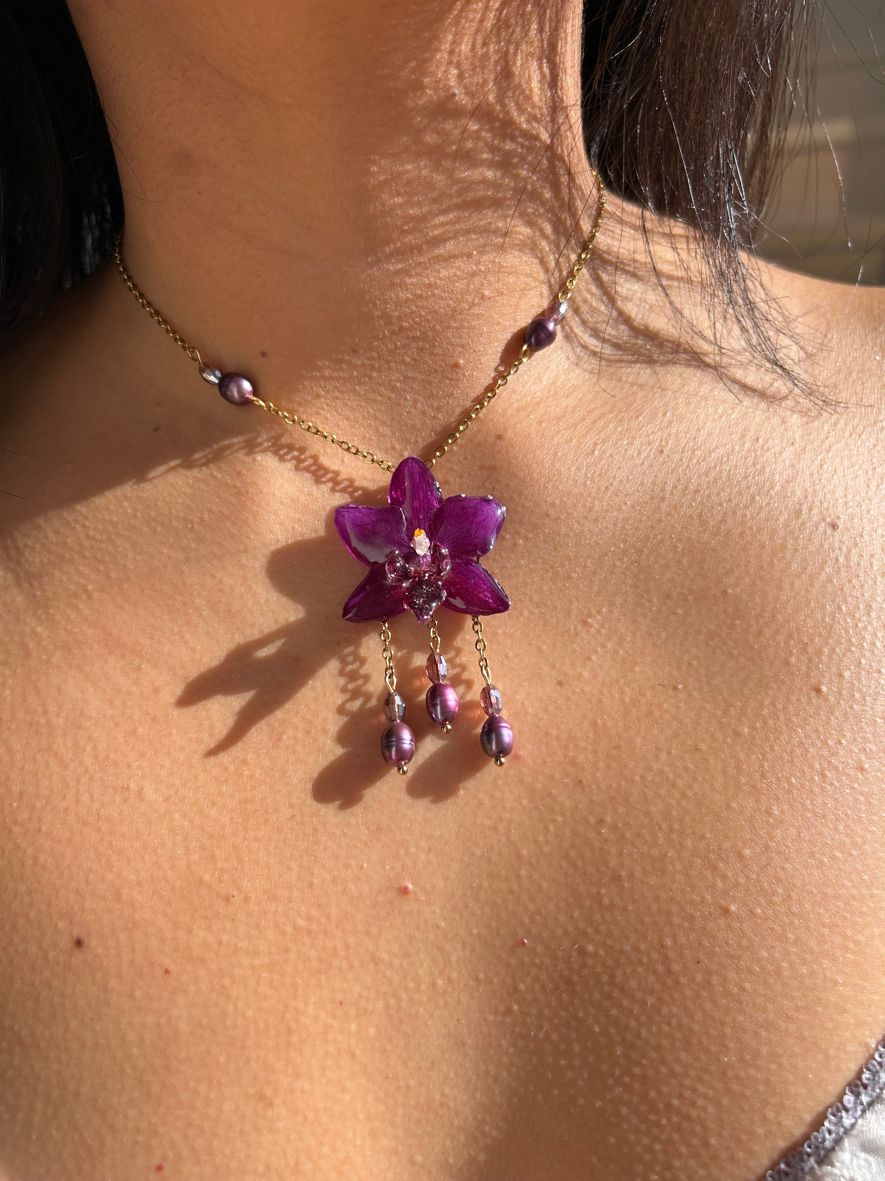 Encanto morado orchid
