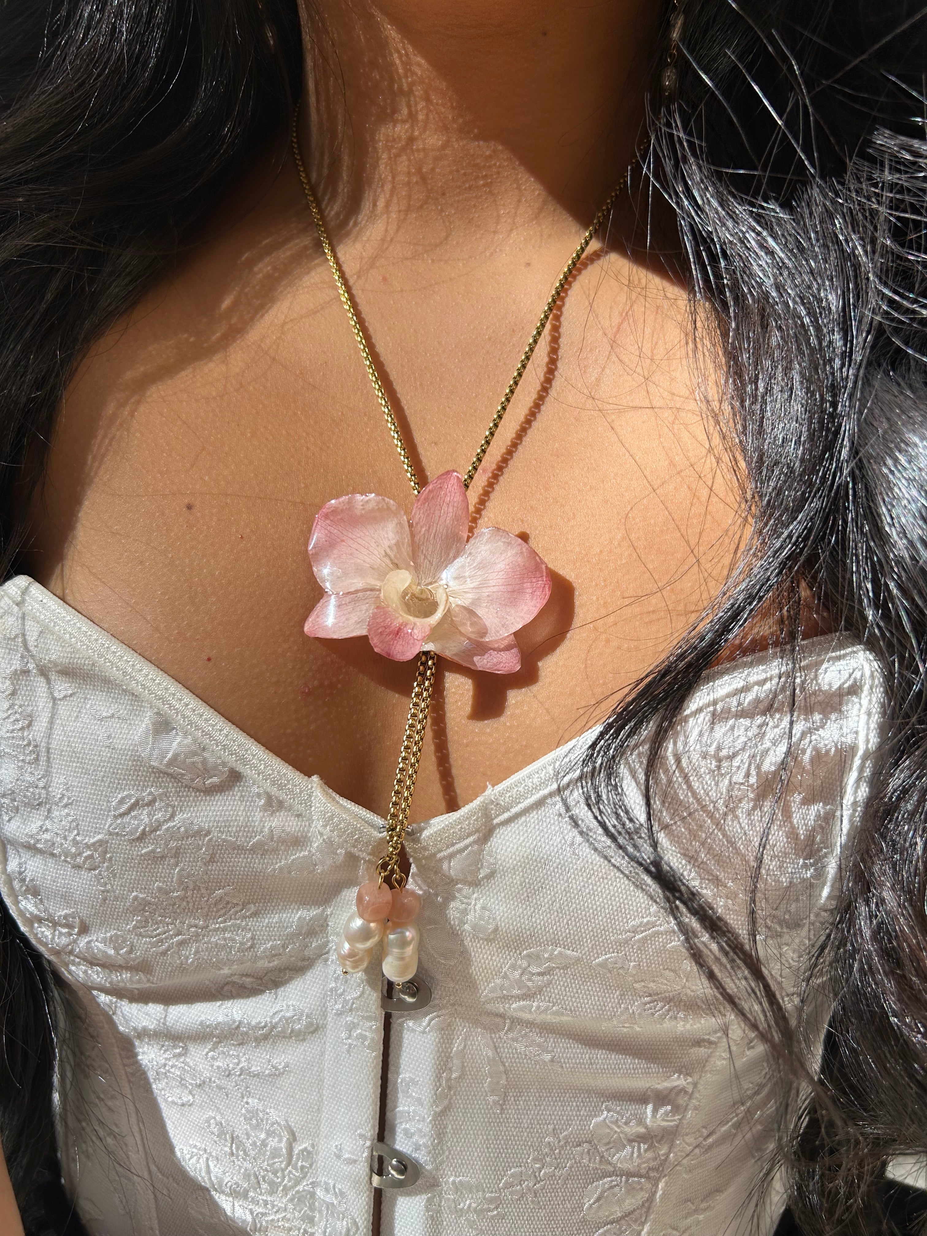 Orchid dendrobium real