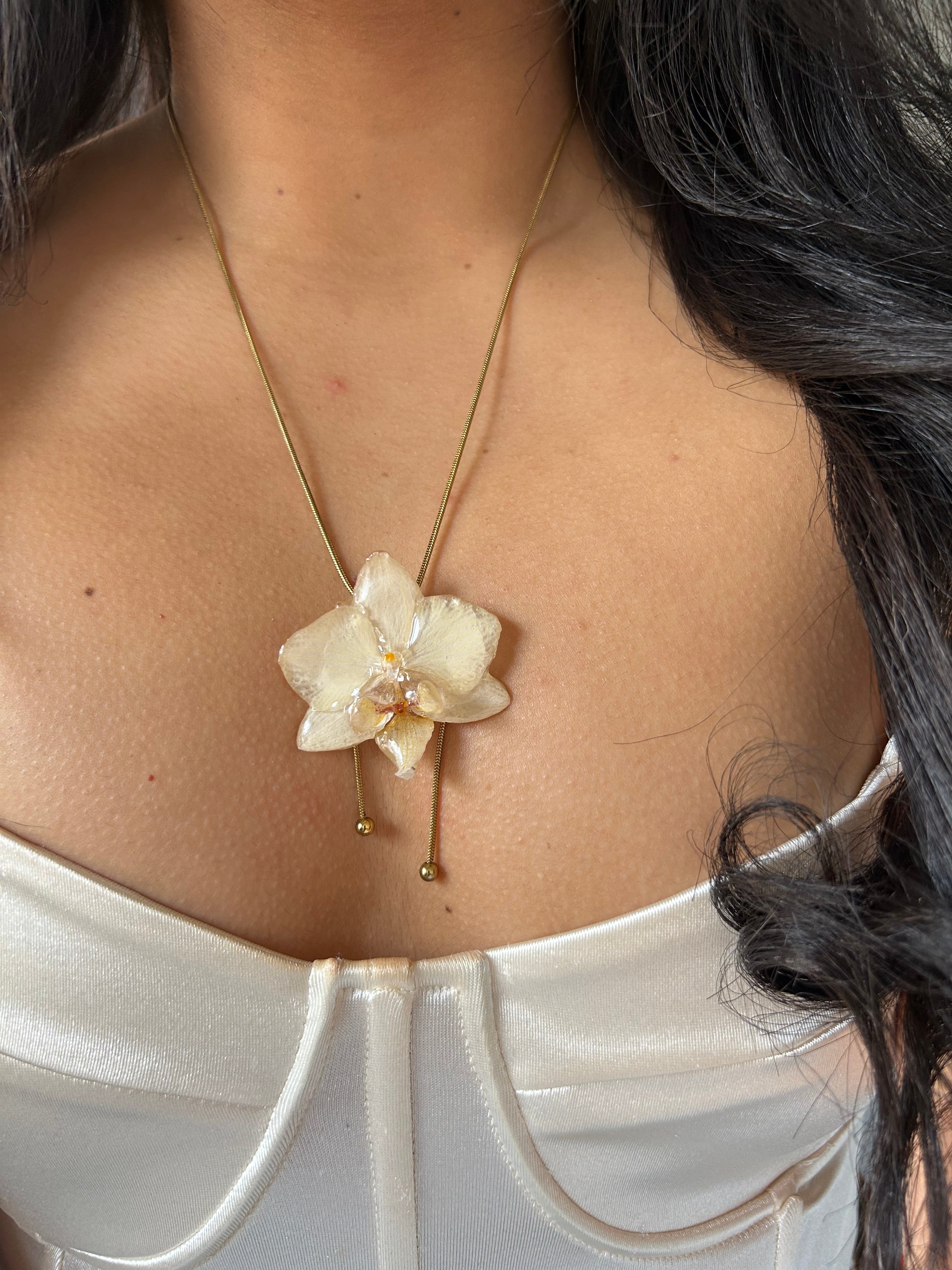 cream phalaenopsis orchid