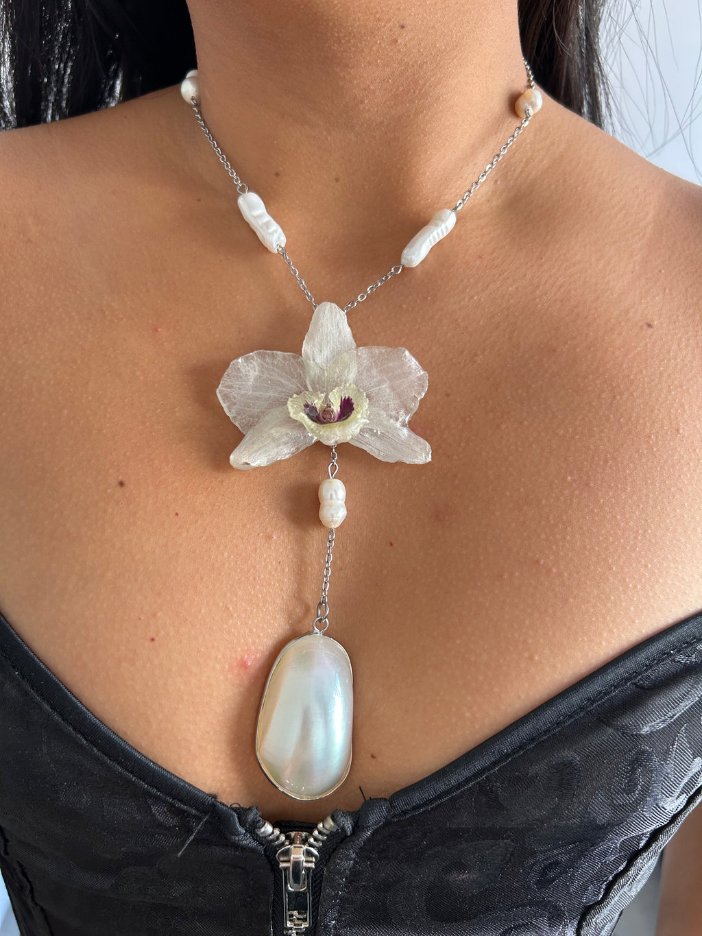 Orchid dendrobium white with shell
