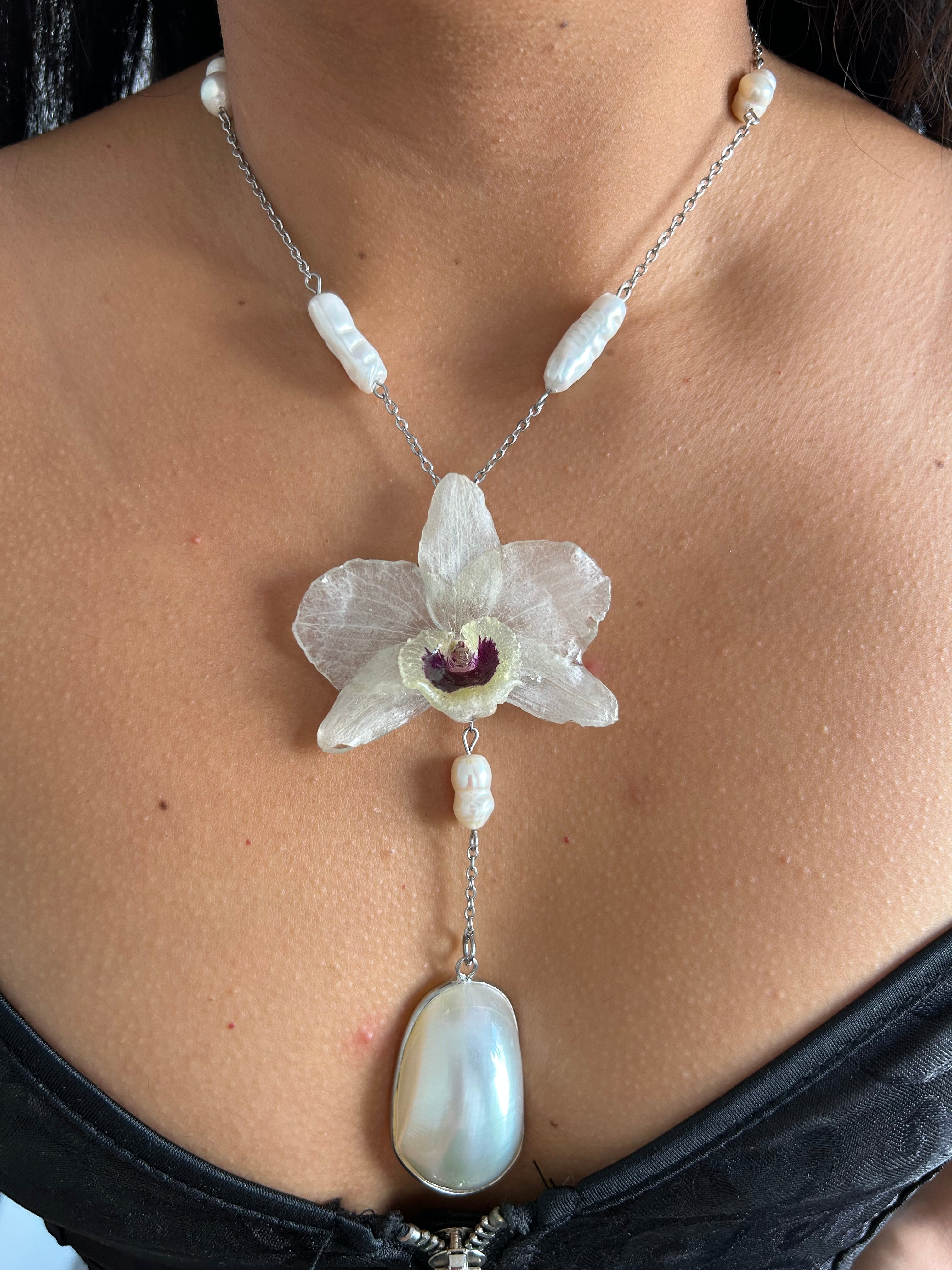 Orchid dendrobium white with shell