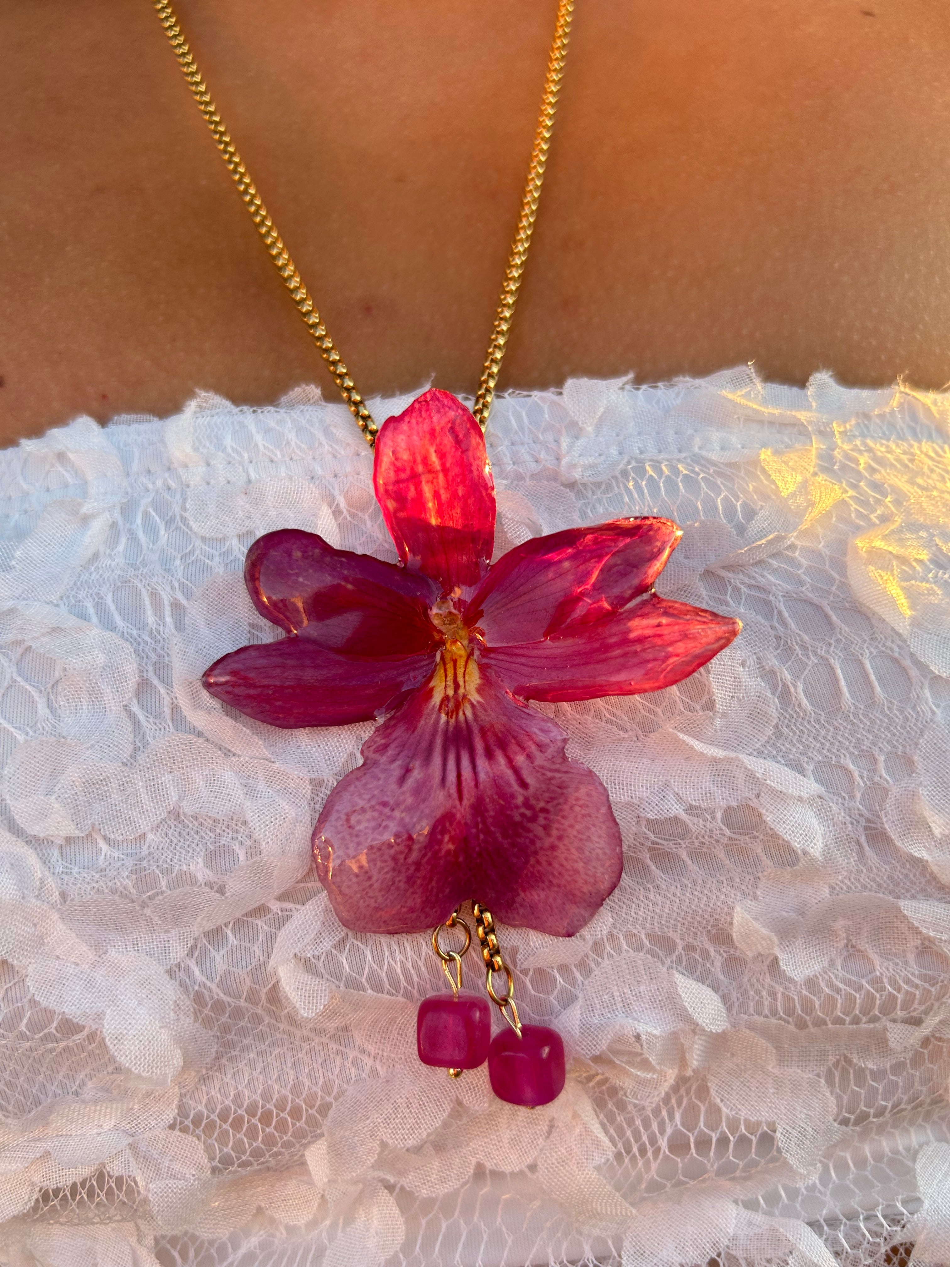Orchid Nelly isler fucsia