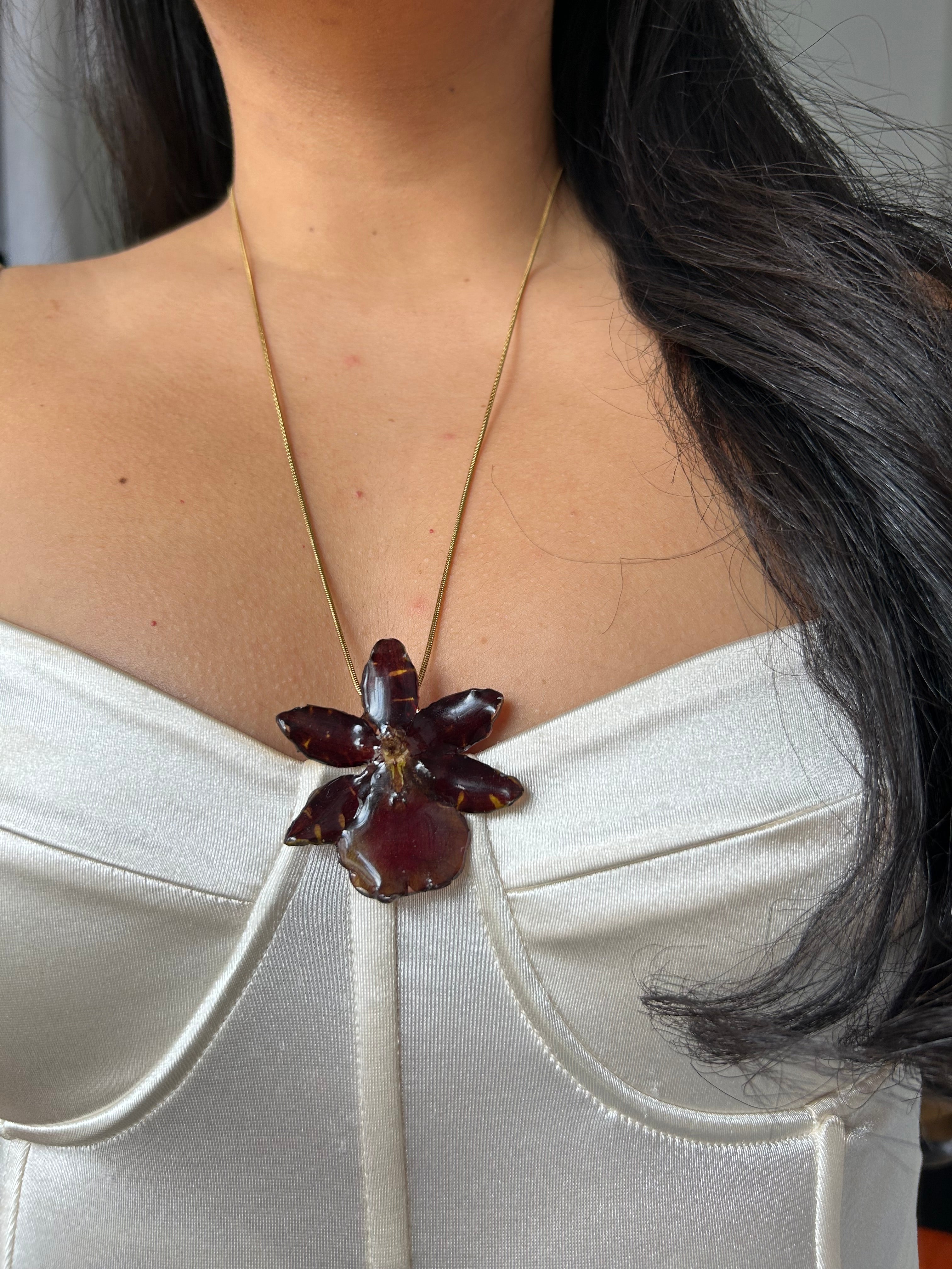 Exotic eclipse orchid