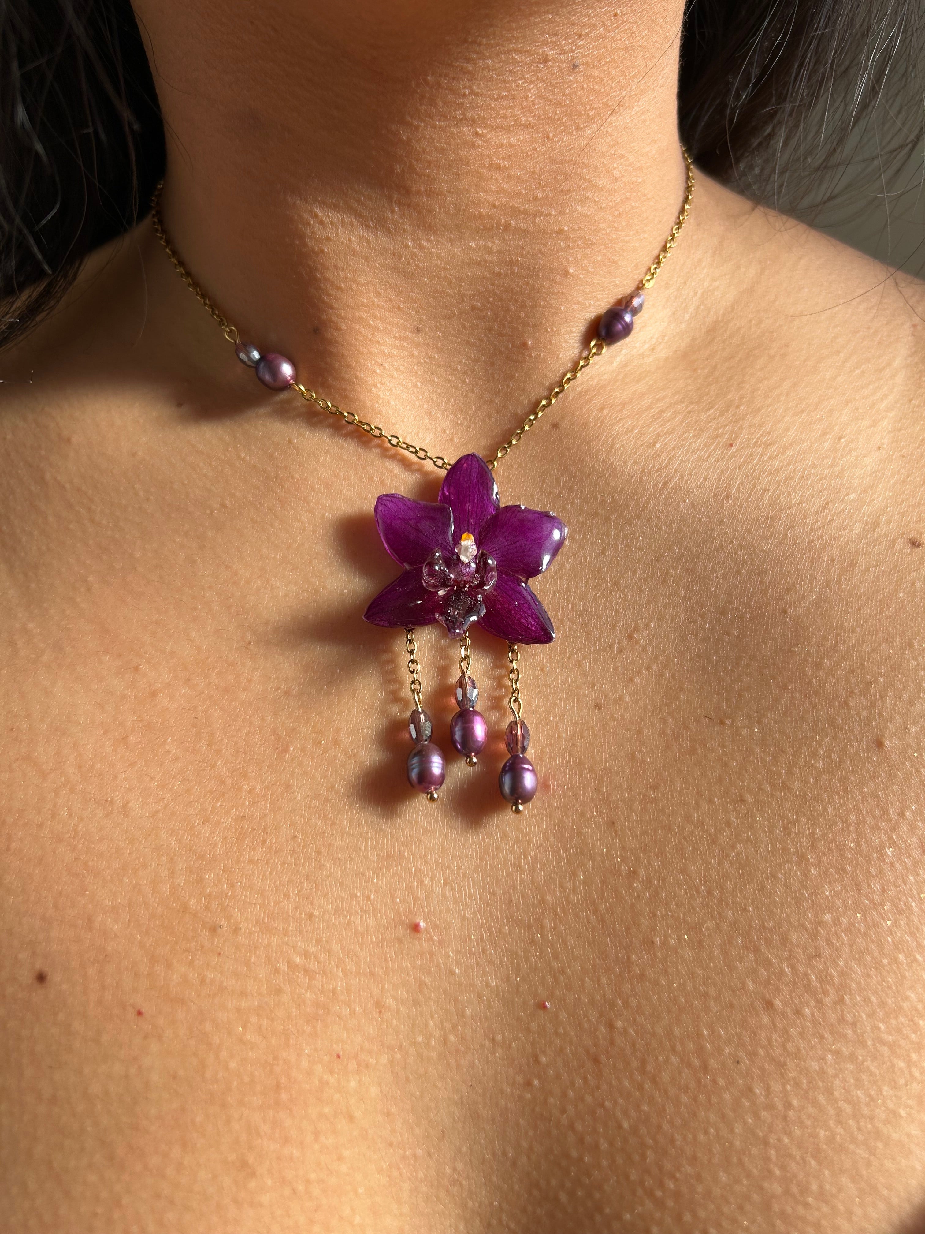 Encanto morado orchid
