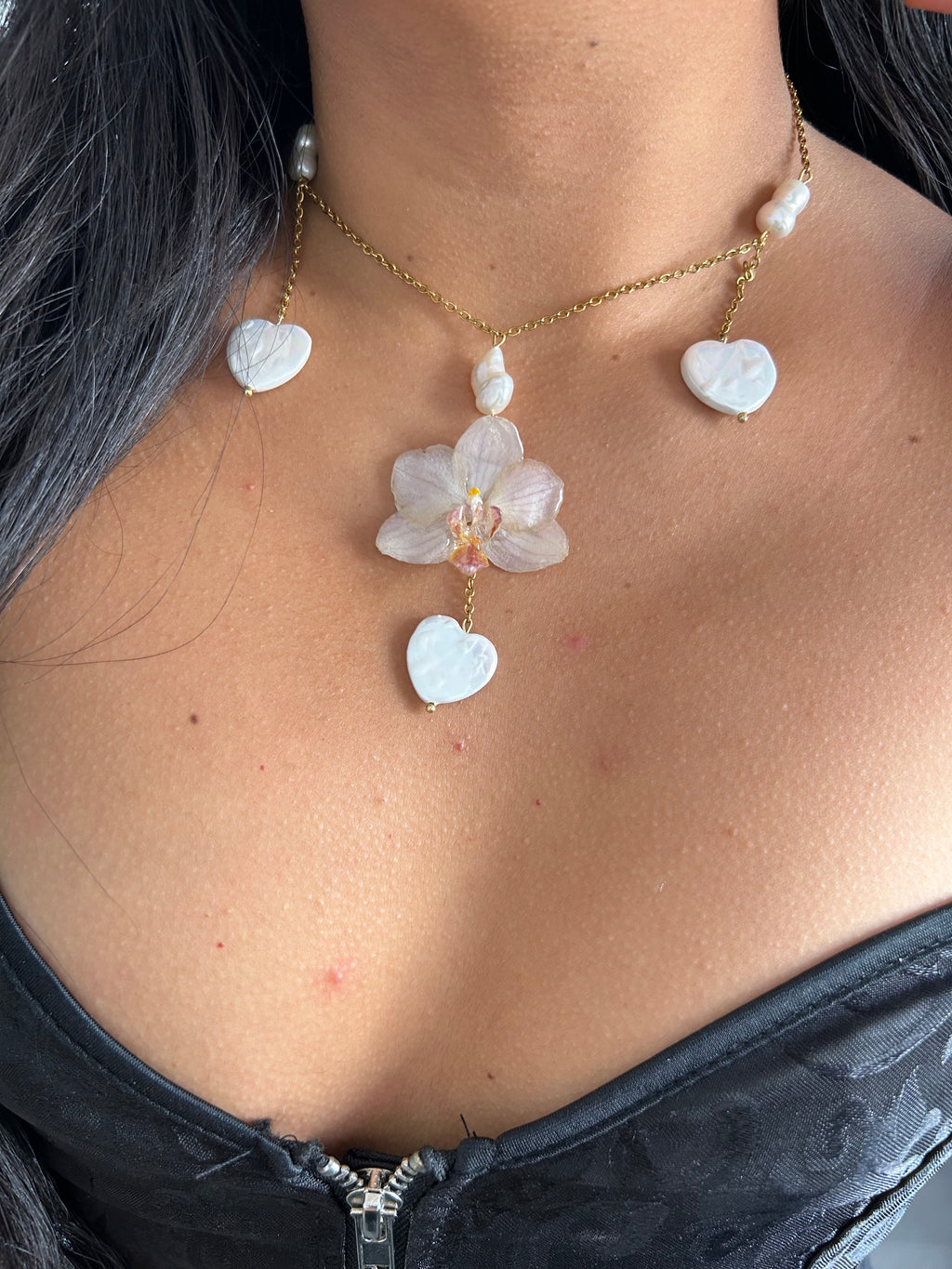 Orchid médium with shell heart