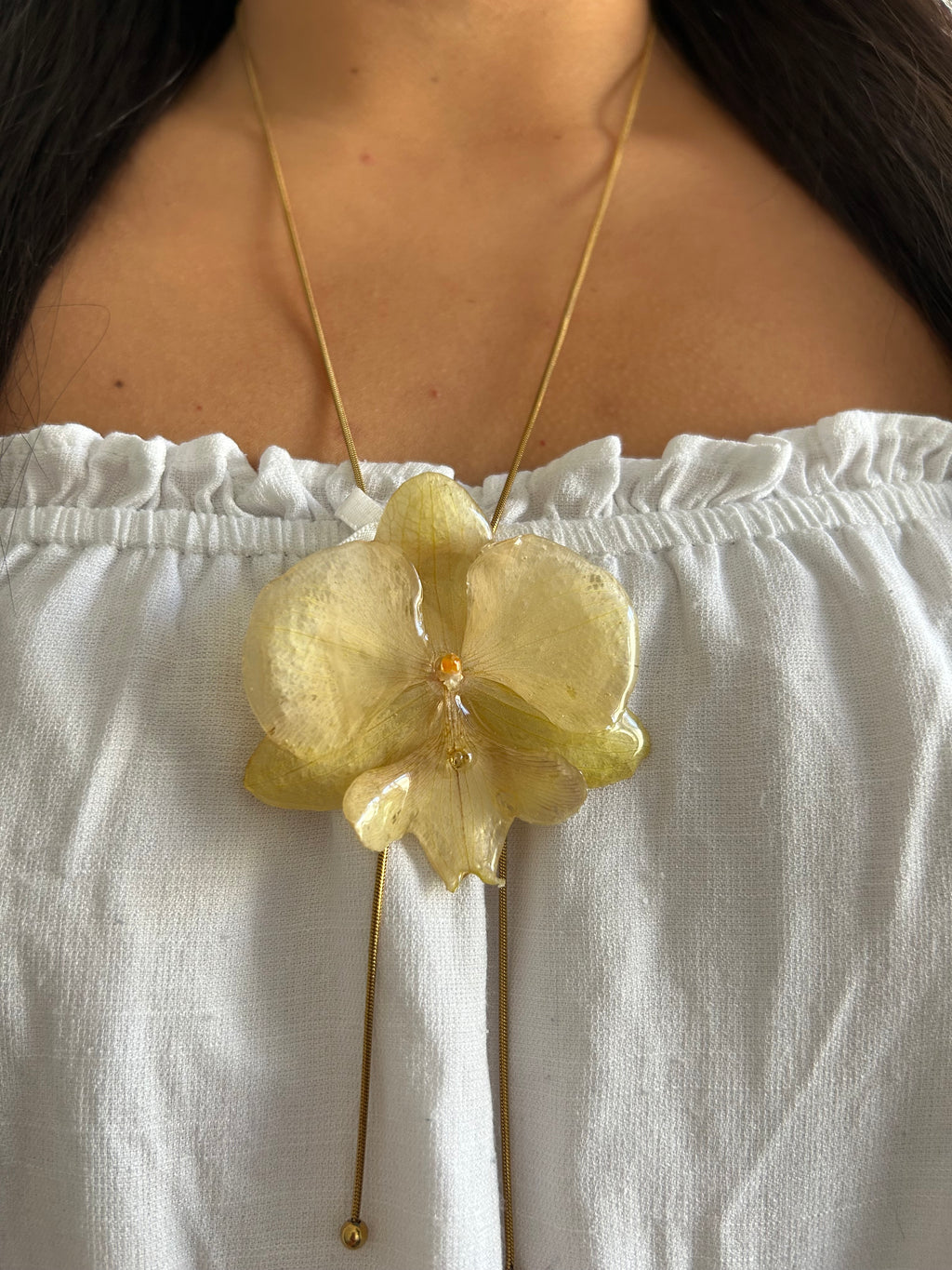 Grand orchid yellow premiun