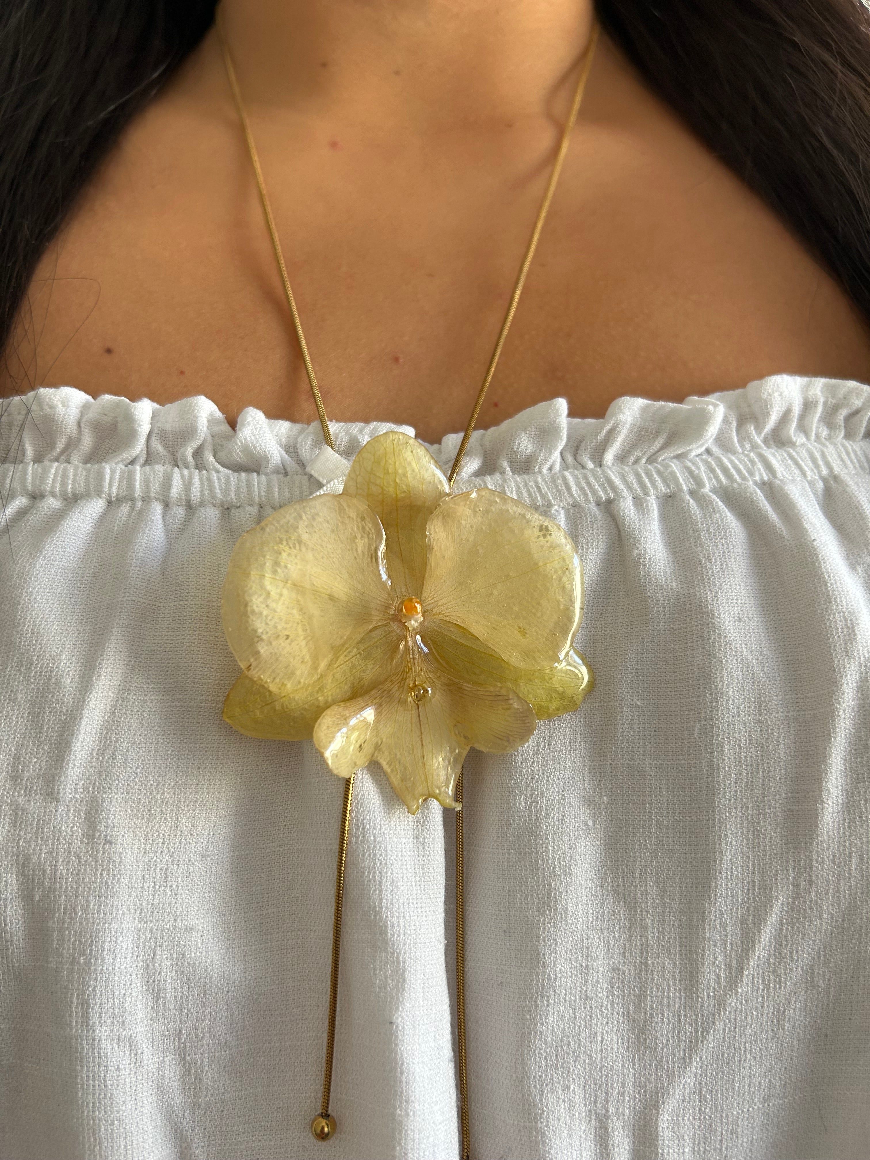 Grand orchid yellow premiun