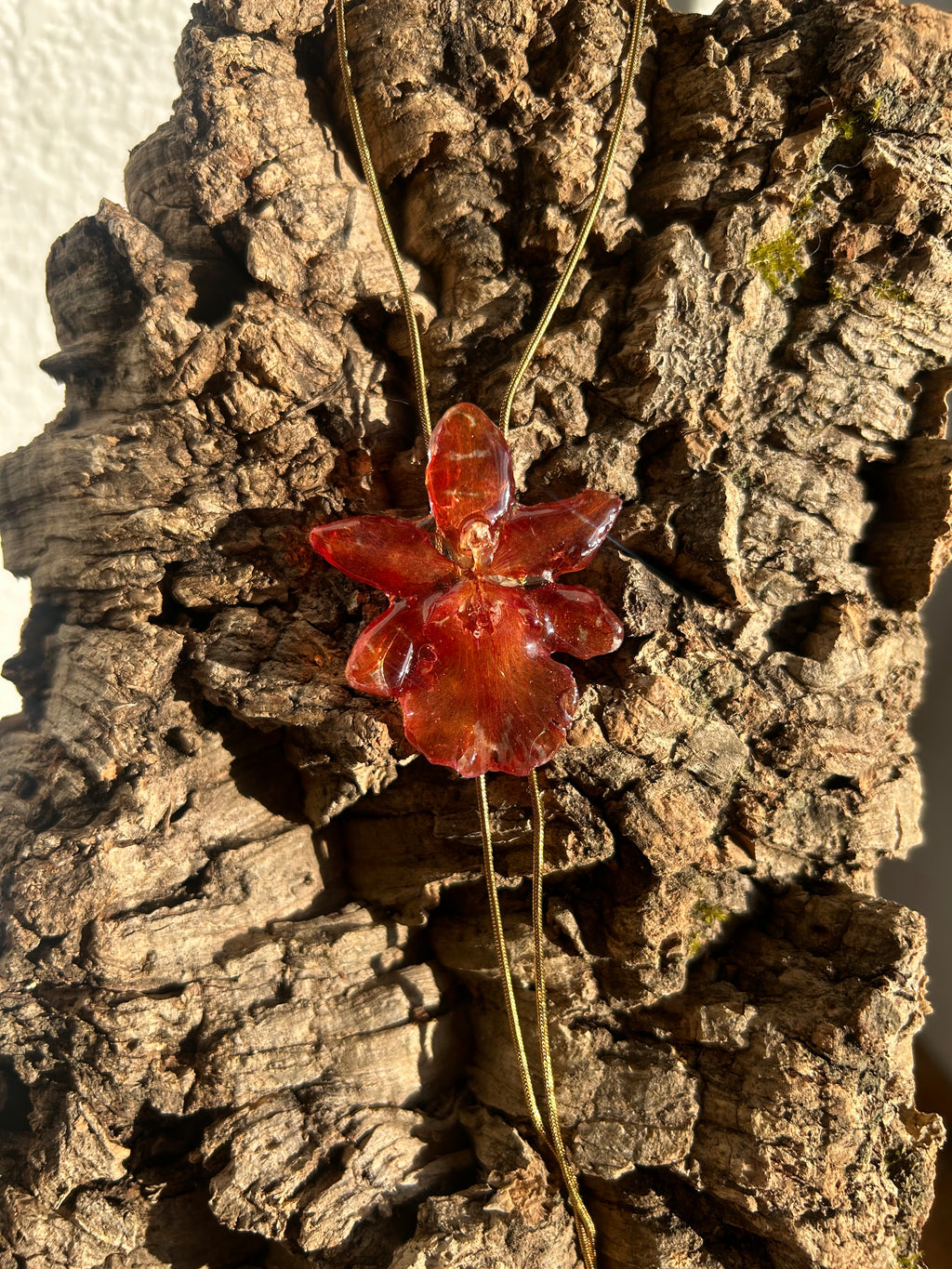 exotic orange orchid