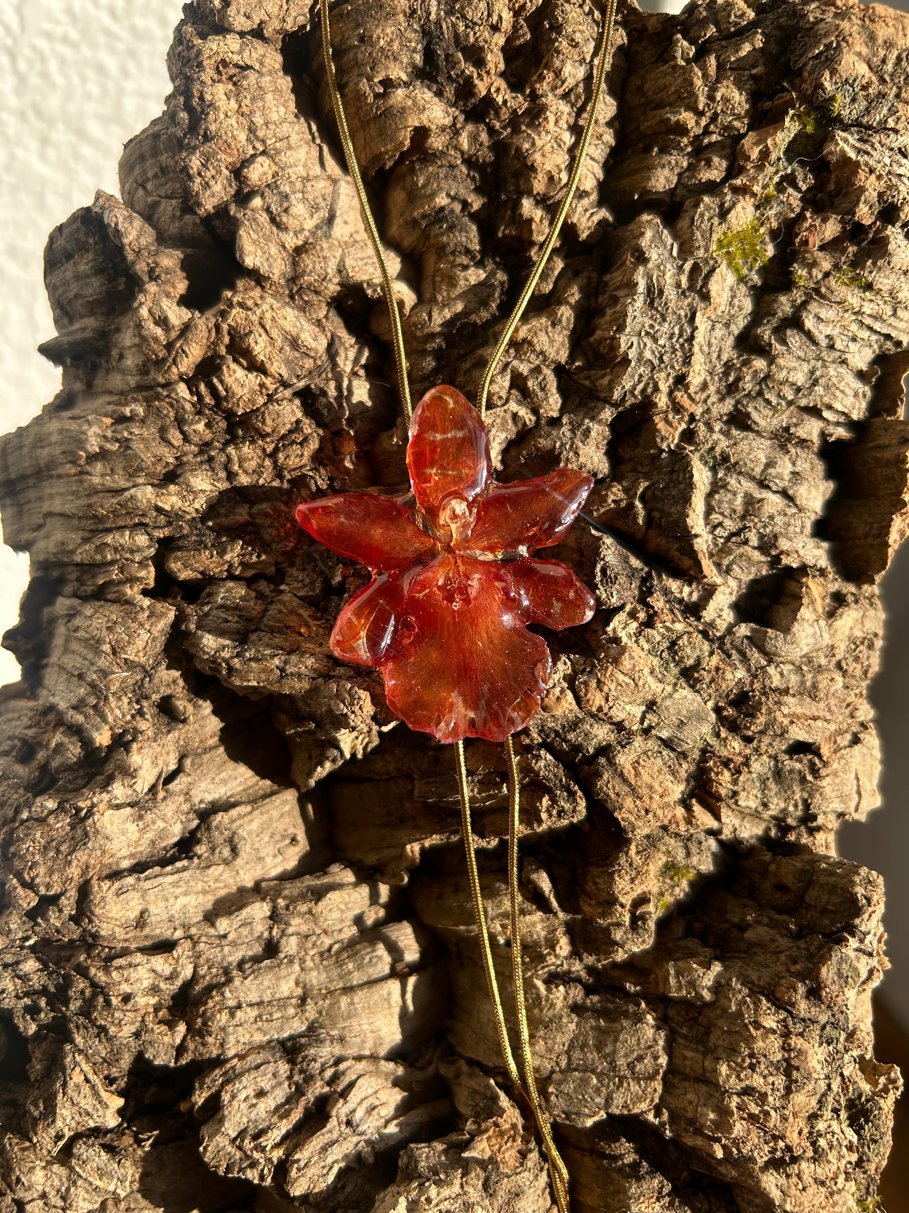 exotic orange orchid
