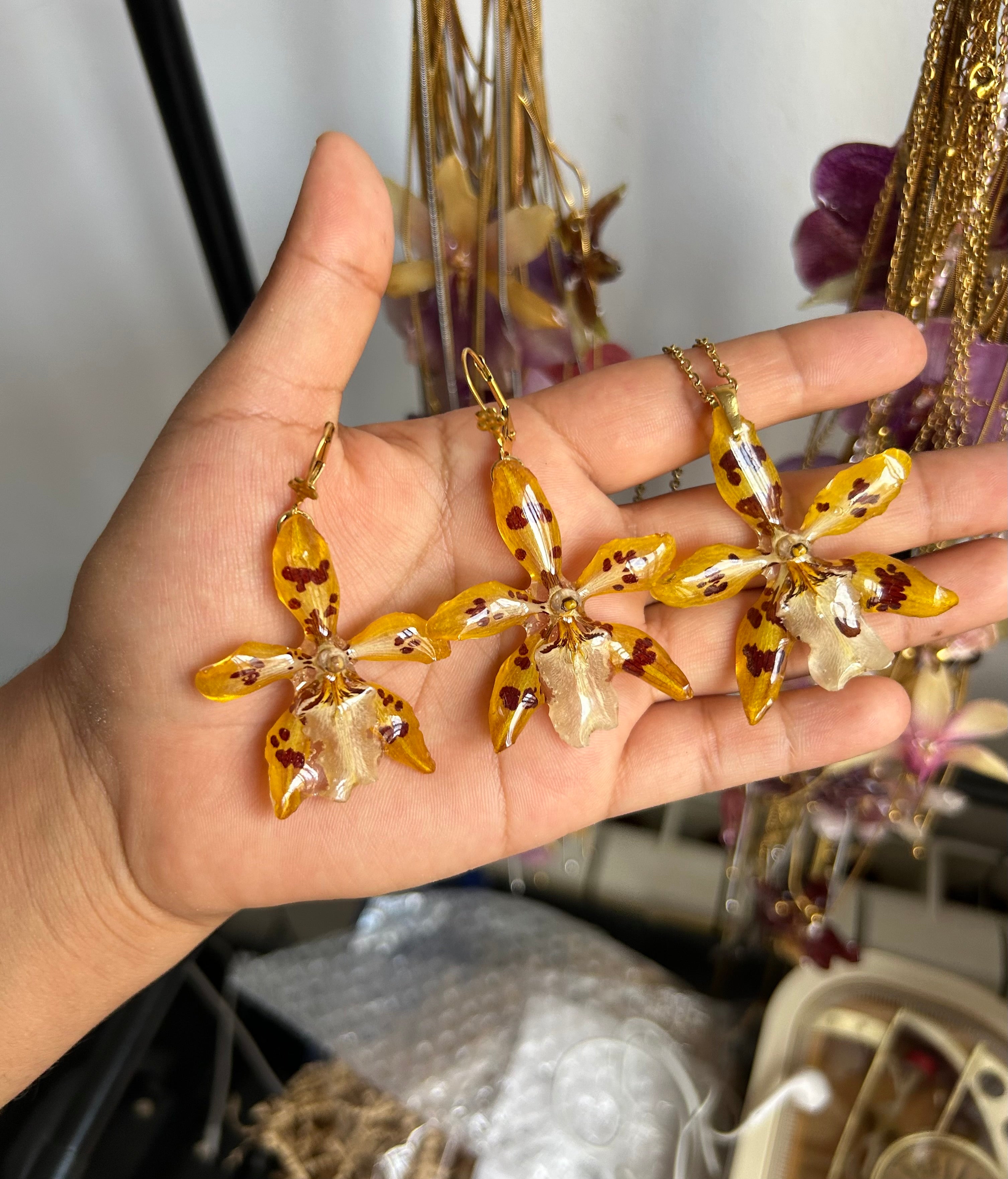 Conjunto de orquídeas exóticas